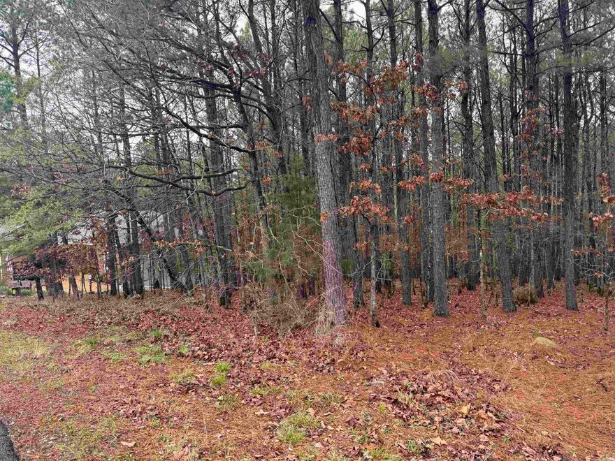 Build your dream home at 45 Largo Dr in Hot Springs Village- a gated community known for its natural beauty and resort-style living.  This .41-acre lot offers the perfect setting with peaceful surroundings and plenty of space to design your ideal home.  Enjoy access to multiple golf courses, scenic lakes, walking trails, and a wide range of amenities that make Hot Springs Village one of Arkansas's most sought-after communities.  Whether you're planning to build now or invest for the future, this property is a fantastic opportunity to be part of a vibrant and secure neighborhood.