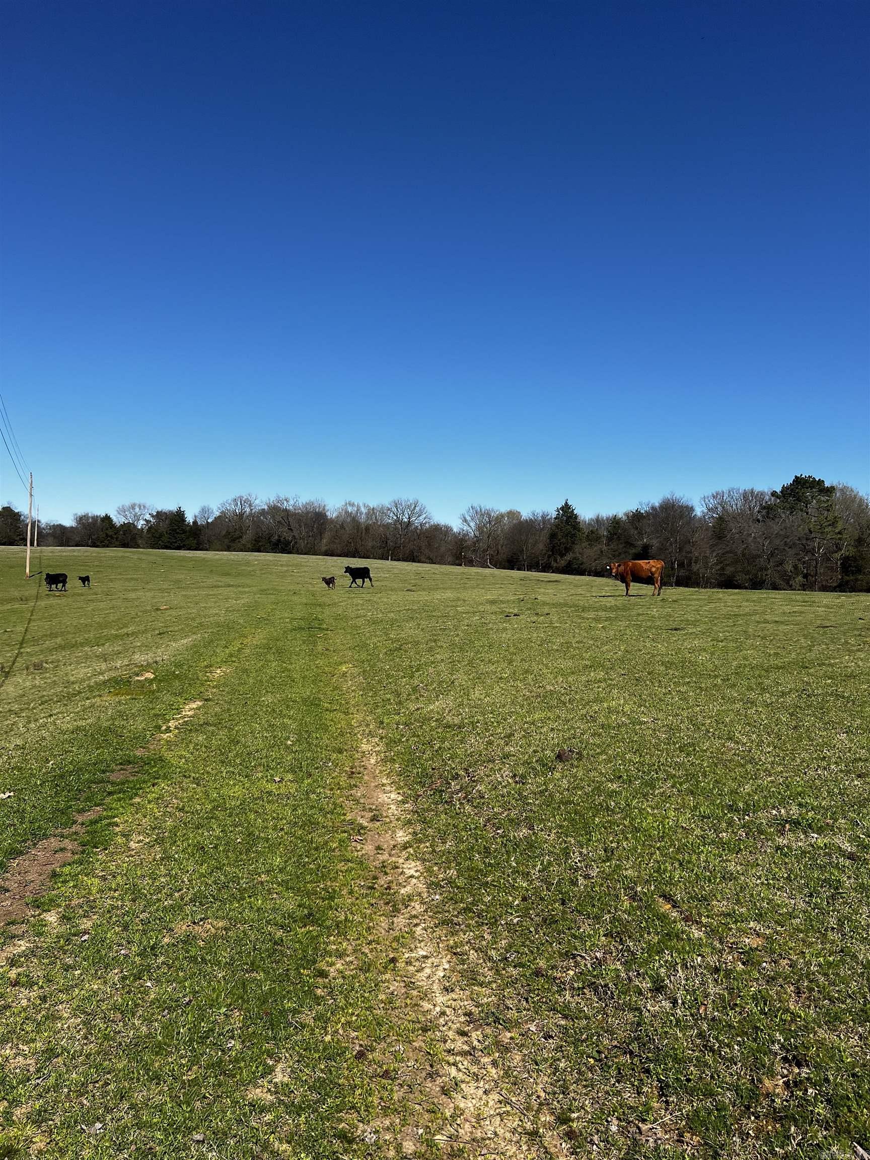 Metes & Bounds - Land