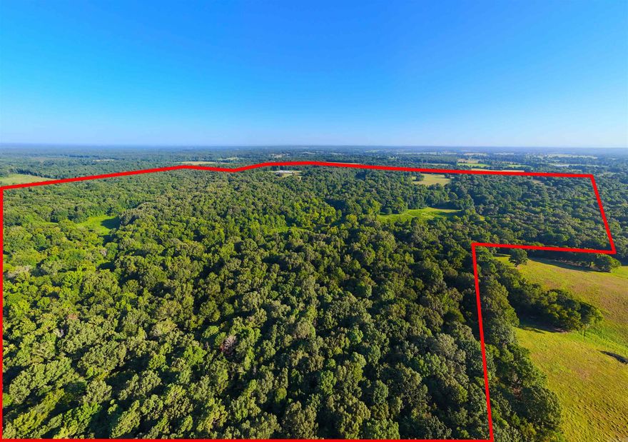 Double K Ranch - "An Outdoorsman's Paradise"  400+/- acres/Secluded/Borders Pond Creek National Wildlife Refuge.  Escape to the ultimate hunting and recreational retreat with this stunning 400 +/- acre property at the end of a maintained county road.  Double K Ranch is truly an outdoorsman's dream, offering unmatched privacy, abundant wildlife and endless adventures.  Property is fully fenced offering a secure, private expanse for hunting, ranching and relaxation, with approx 252 acres of marketable timber, remainder in open pasture, ponds and creeks.  11 acre spring fed lake - stocked with bass and bluegill for year round fishing.  Small cabin, great for weekend getaways or hunting base, two enclosed metal barns with concrete floors and electricity, six enclosed hunting blinds, proven spots where numerous trophy bucks have been harvested.  Just 35 miles to Broken Bow Lake and Hochatown, OK, 47 miles from Texarkana Airport and 6 miles from downtown Horiatio AR - Whether you are looking for a private hunting sanctuary, a recreational family ranch or a long term investment with natural resources, Double K Ranch offers it all. Contact our office for more details or to schedule a tour.