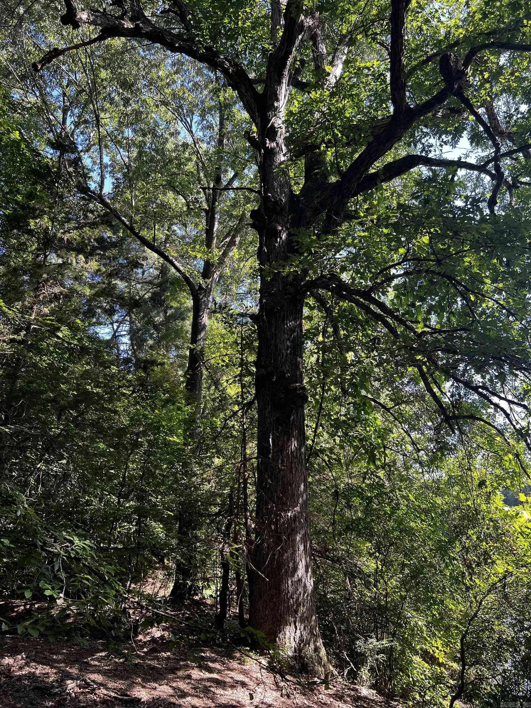 Metes & Bounds - Land