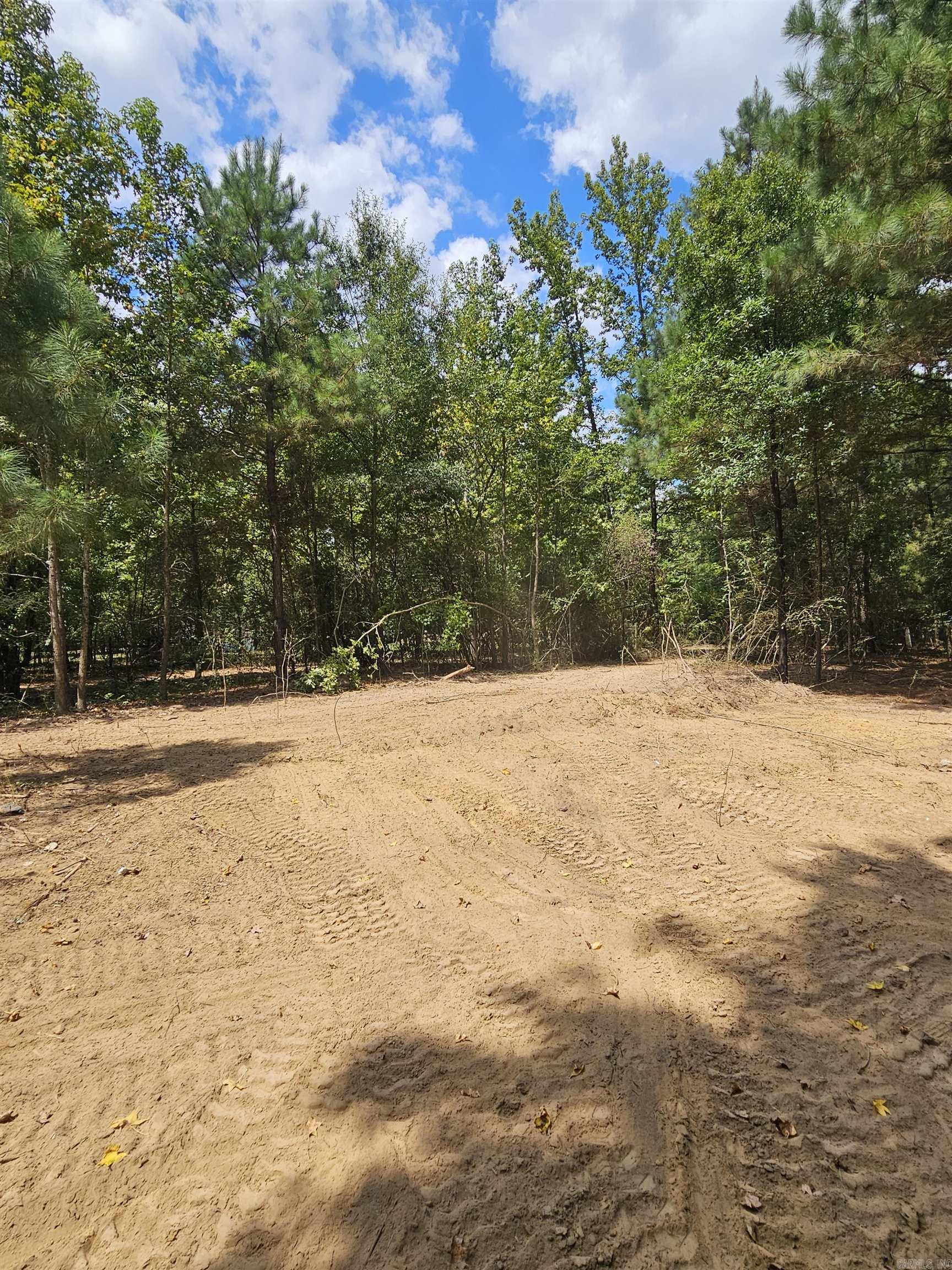 Leaning Pines - Land