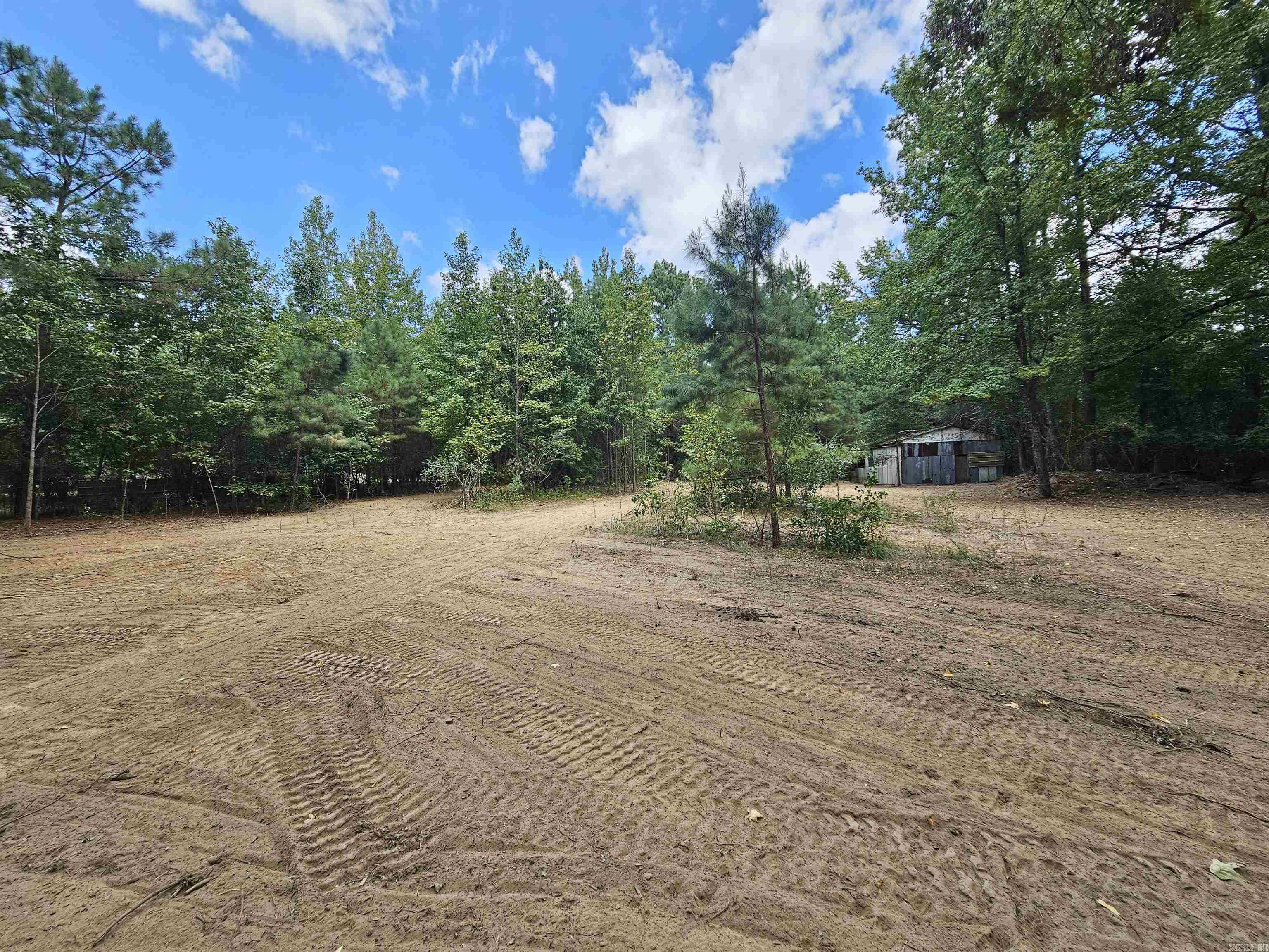 Leaning Pines - Land