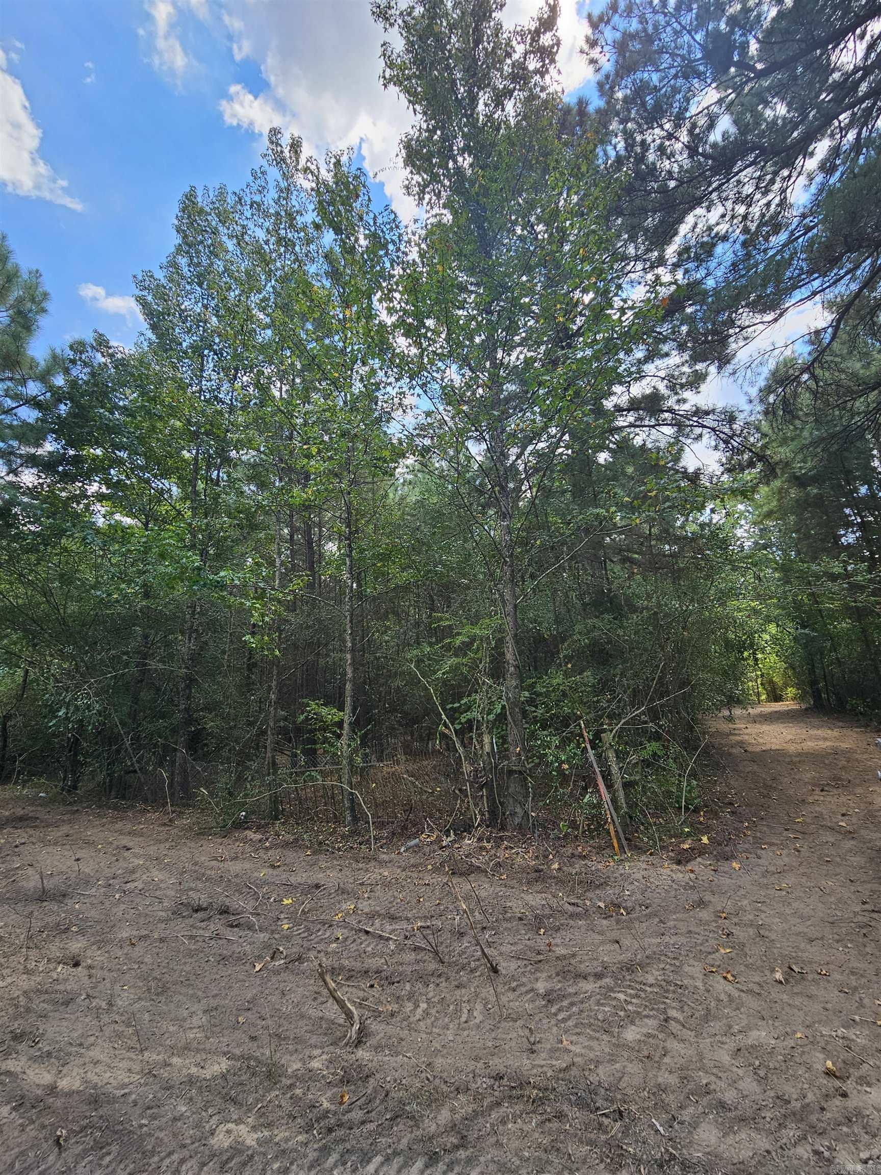 Leaning Pines - Land