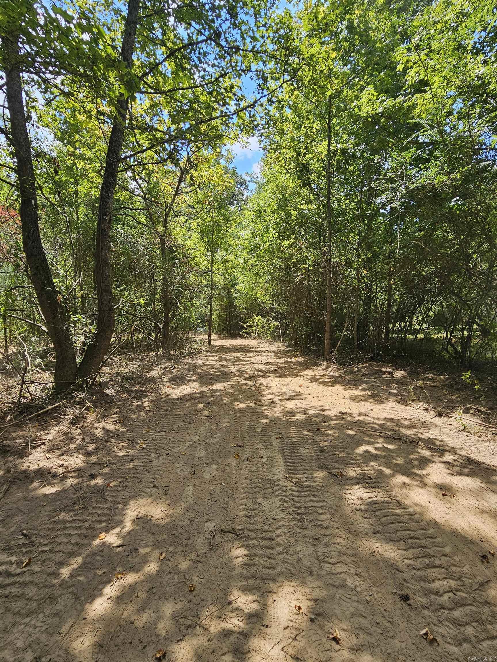 Leaning Pines - Land