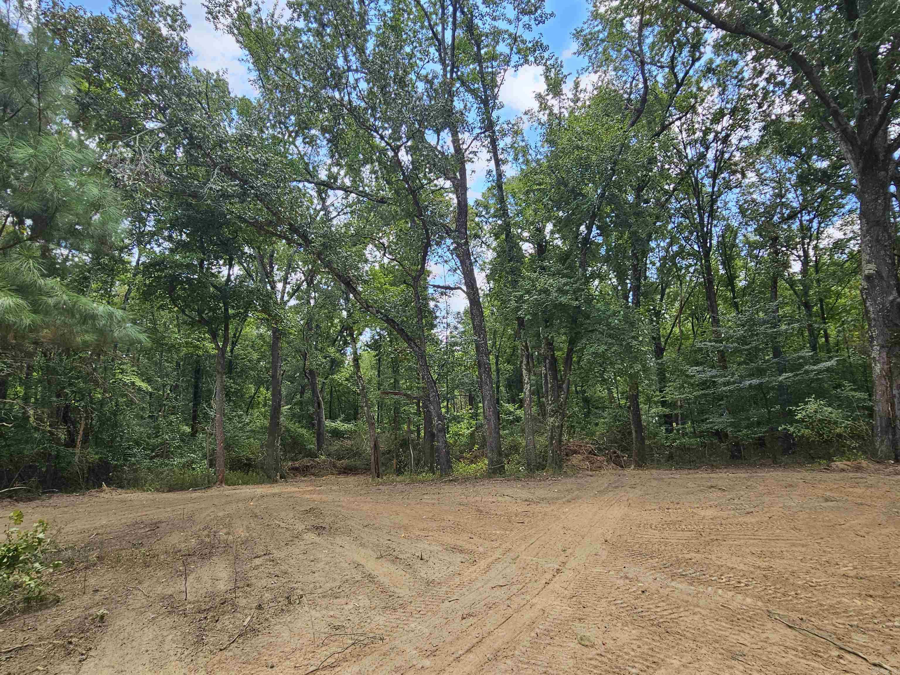 Leaning Pines - Land