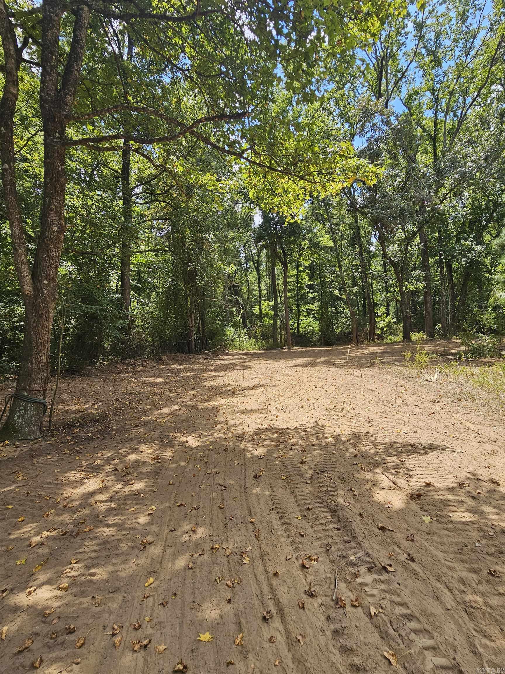 Leaning Pines - Land