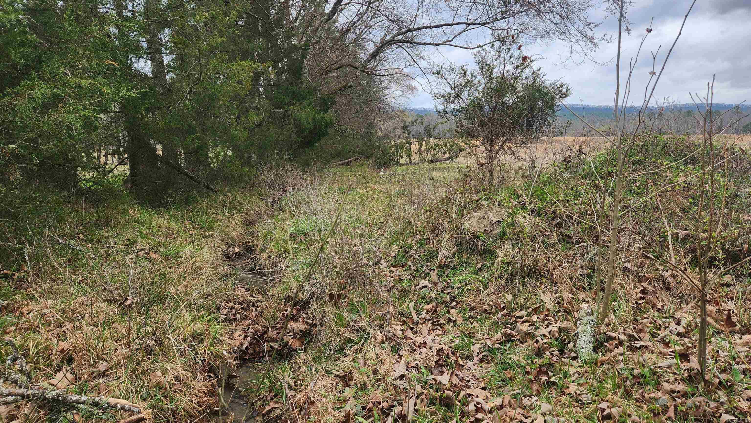 Metes & Bounds - Land