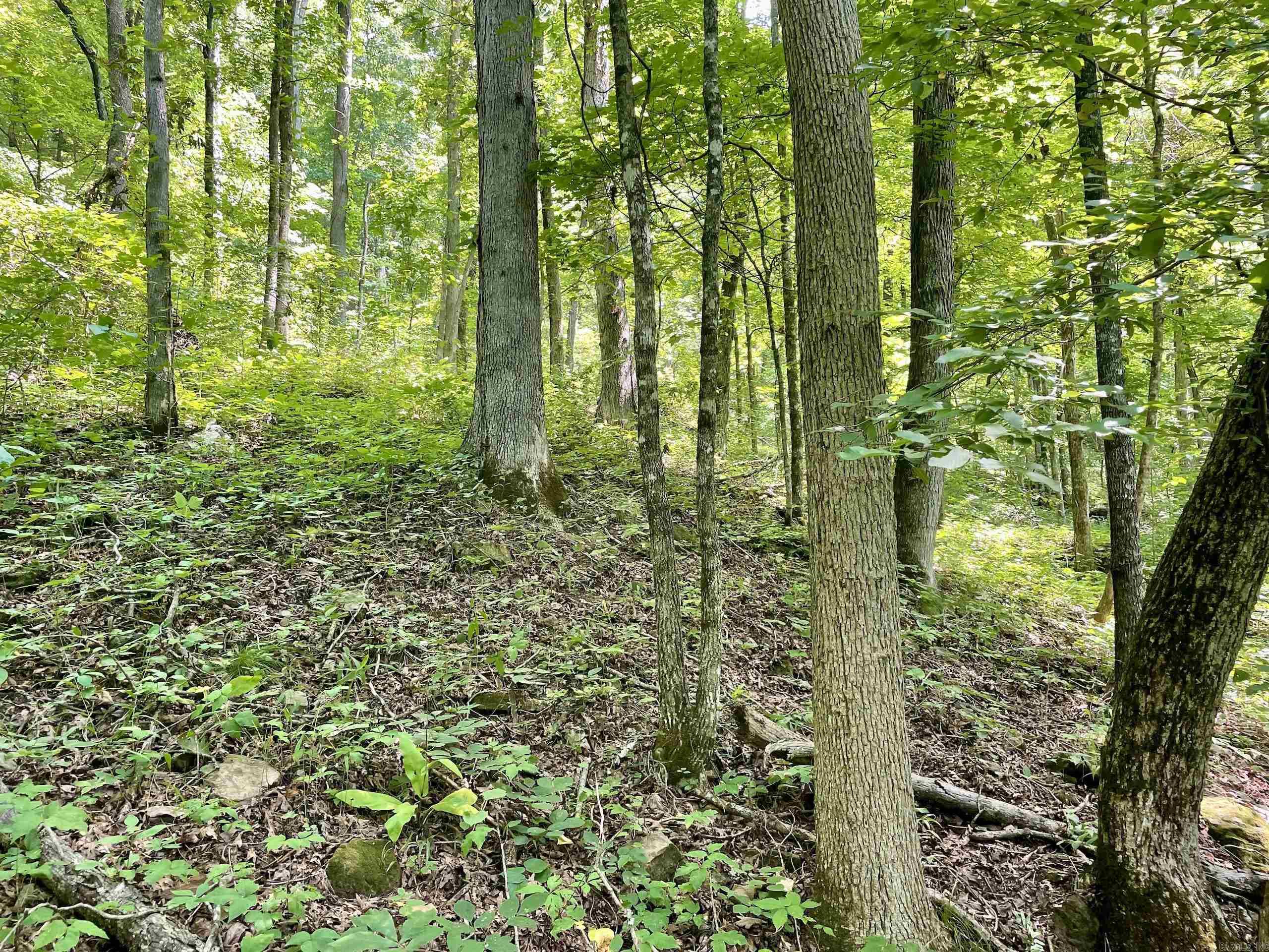 Not in Subdivision - Land