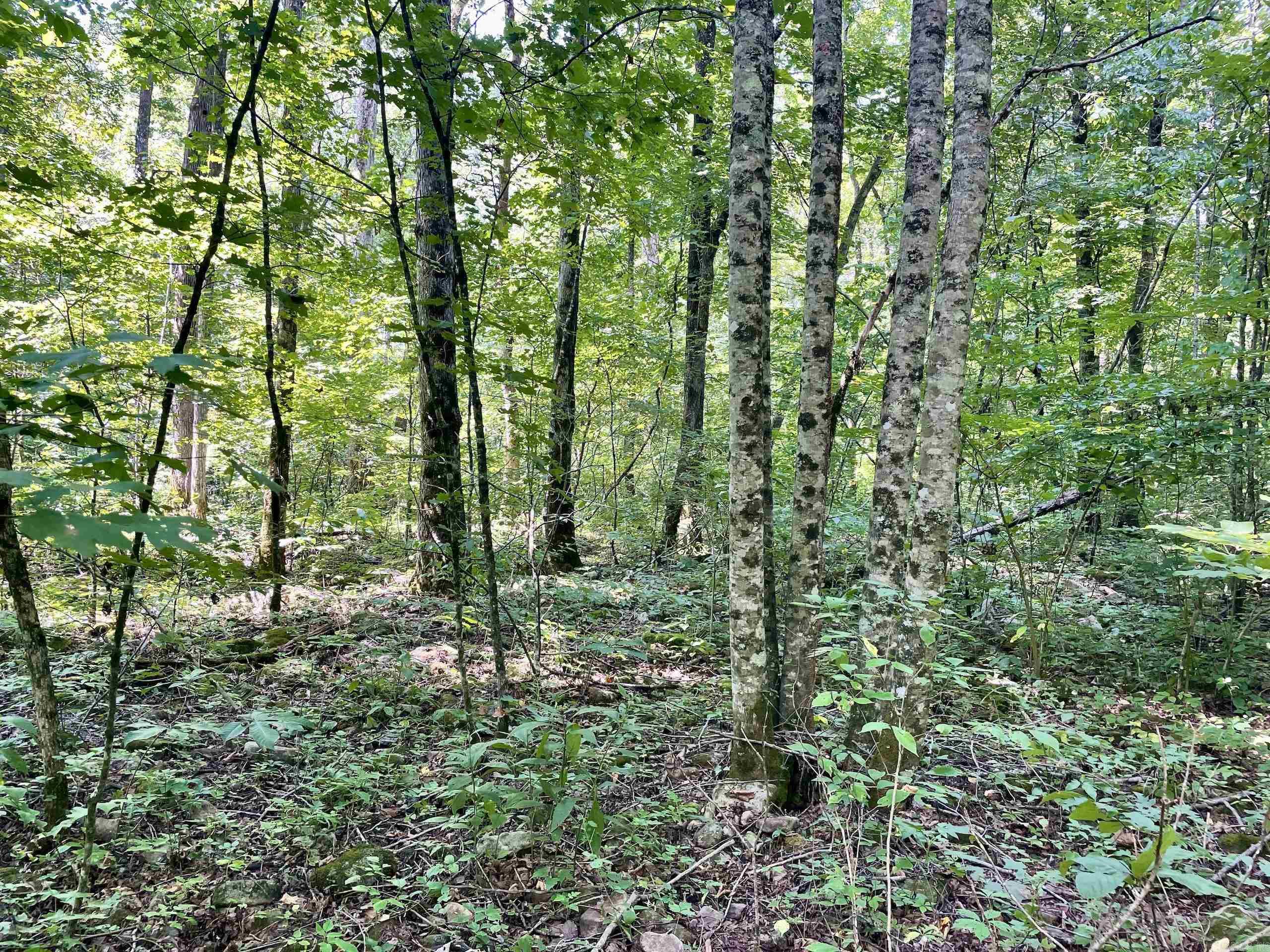 Not in Subdivision - Land