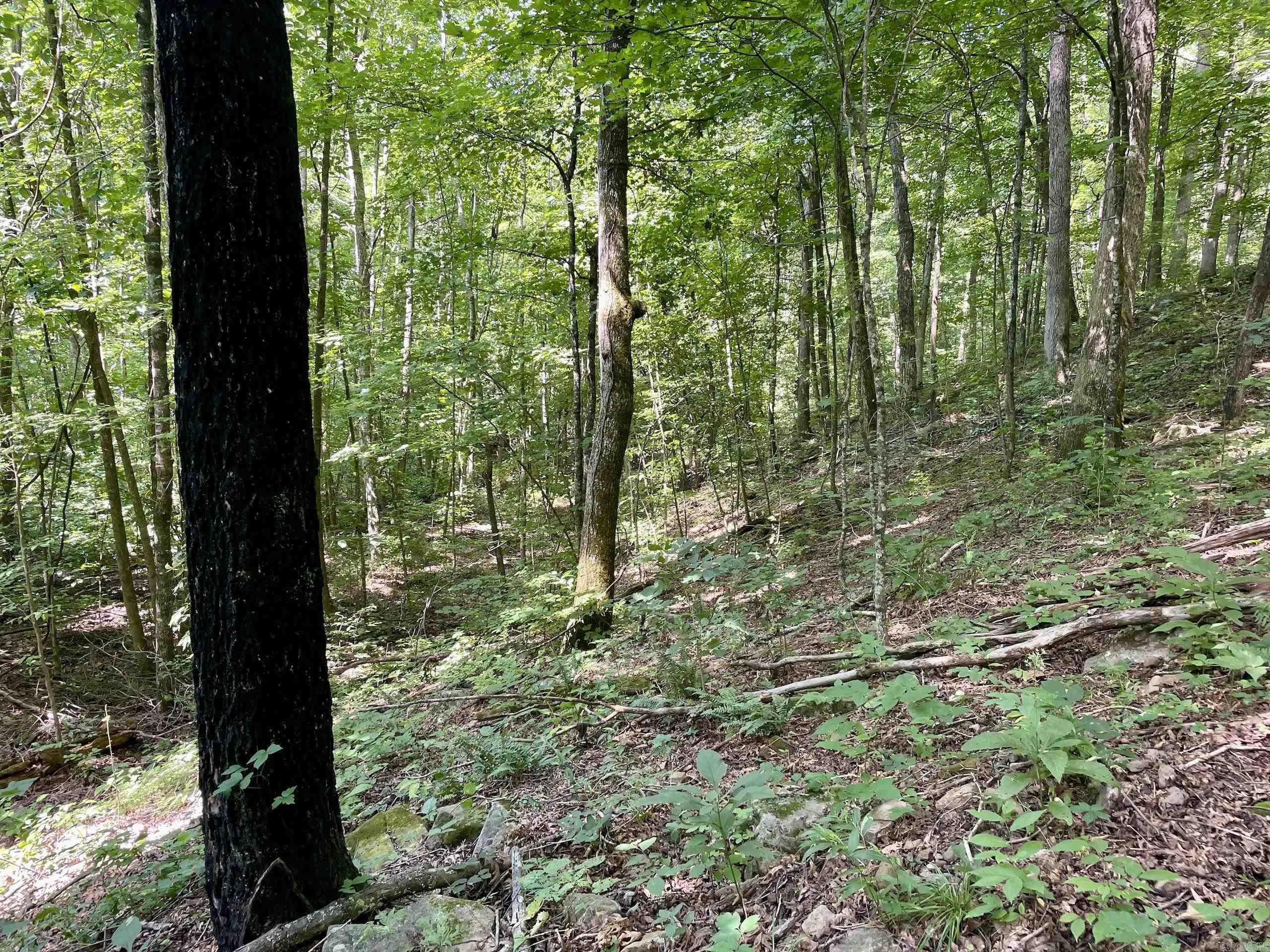 Not in Subdivision - Land