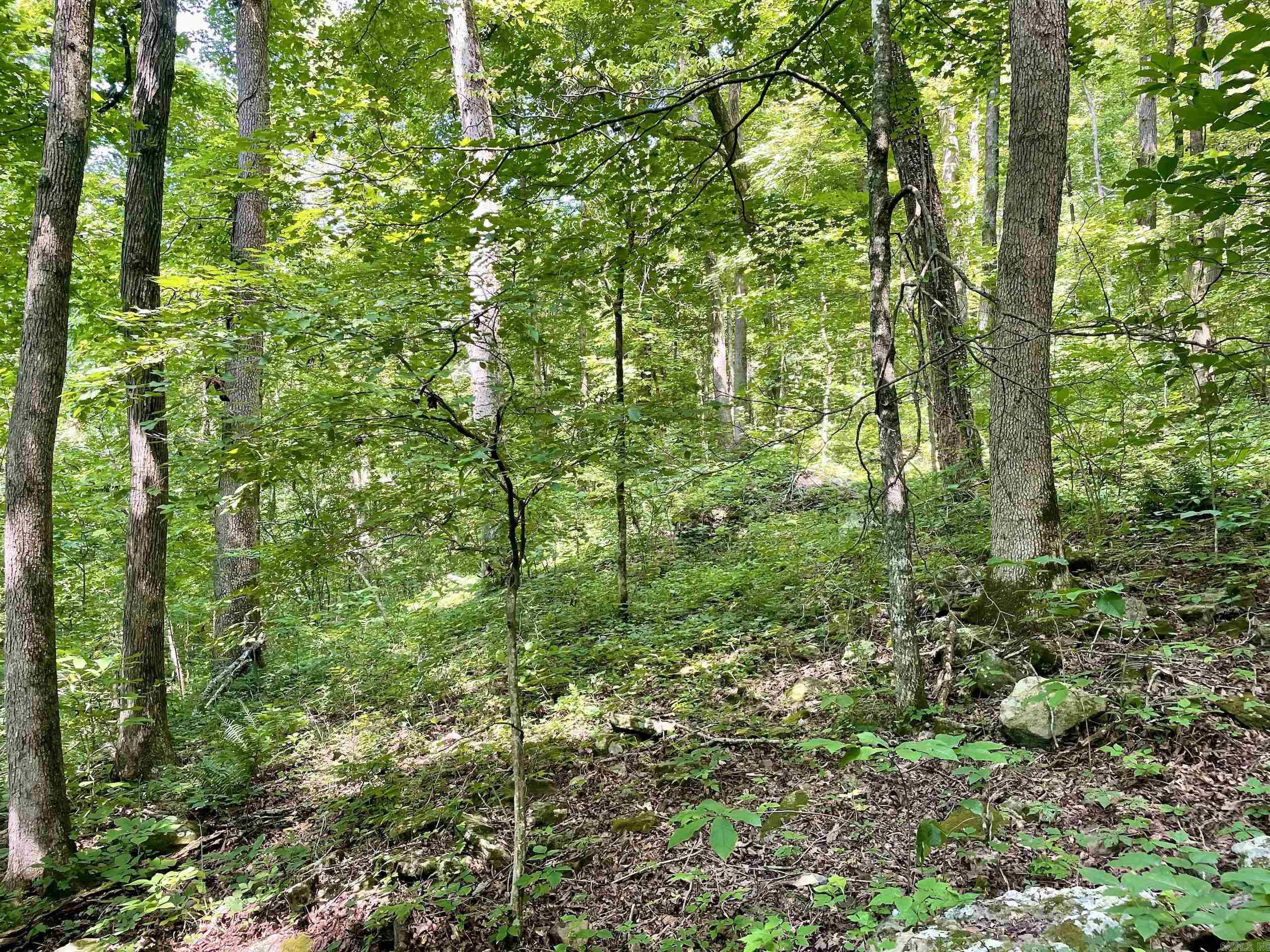 Not in Subdivision - Land