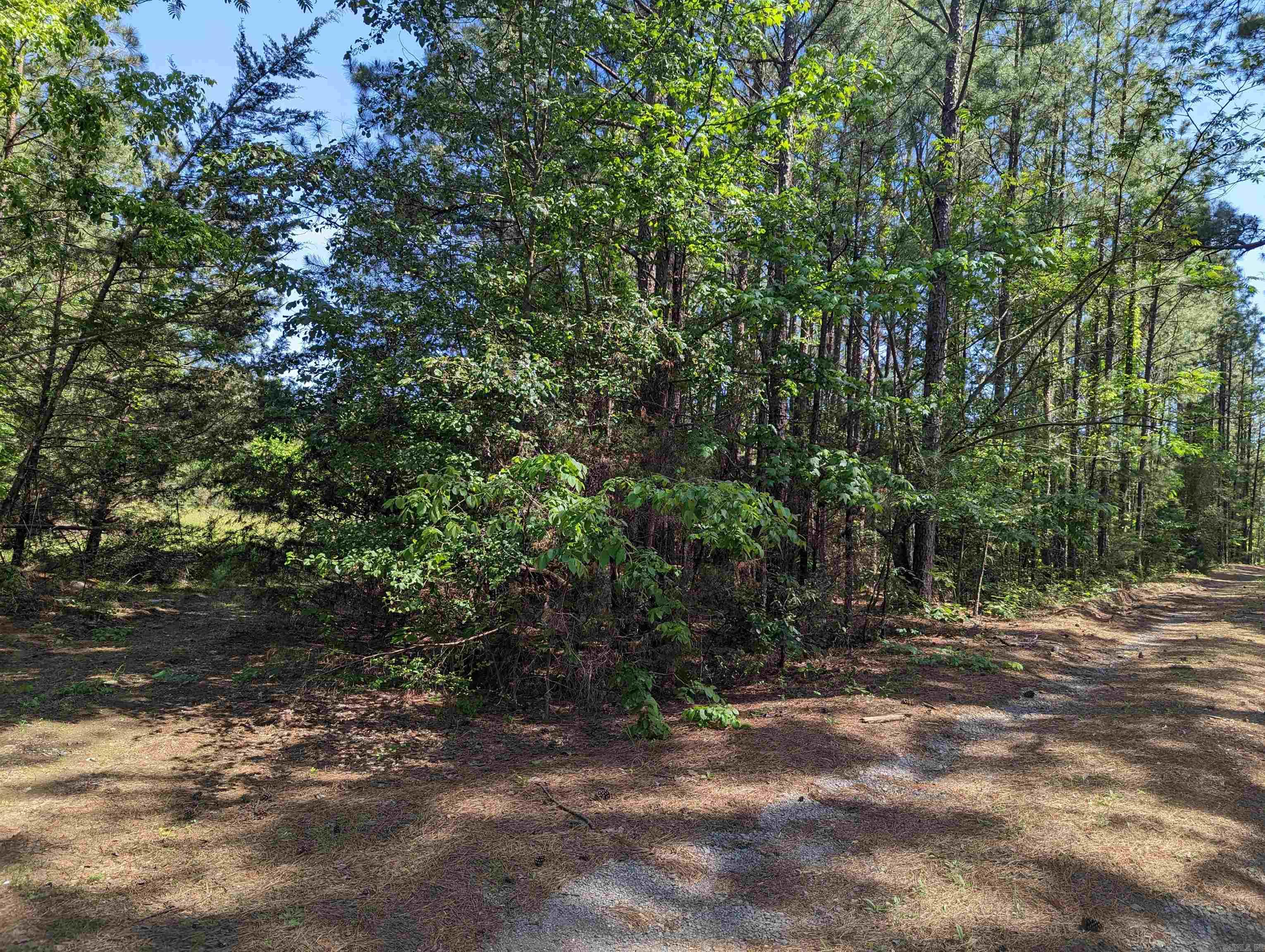 INVESTORS! This beautiful lot can be zone Commercial or Residential. This beautiful treed lot is a builders dream. Build a business; Build a home. The price is right and the property is waiting on you!