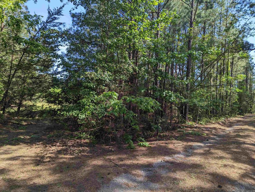 INVESTORS! This beautiful lot can be zone Commercial or Residential.  This beautiful treed lot is a builders dream. Build a business; Build a home. The price is right and the property is waiting on you! Square footage, lot size, and acreage is taken from courthouse records.