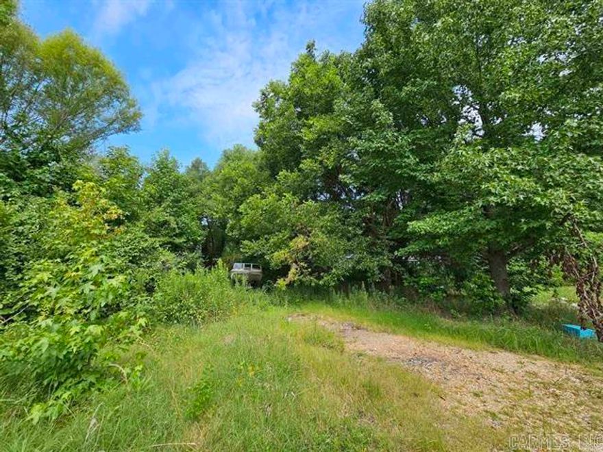 Looking for some acreage for you to make your own? There is a storm cellar at the south border of the property next to driveway. Septic tank, Western Greene County Water & Craighead Electric are already on property. Call today for more information!