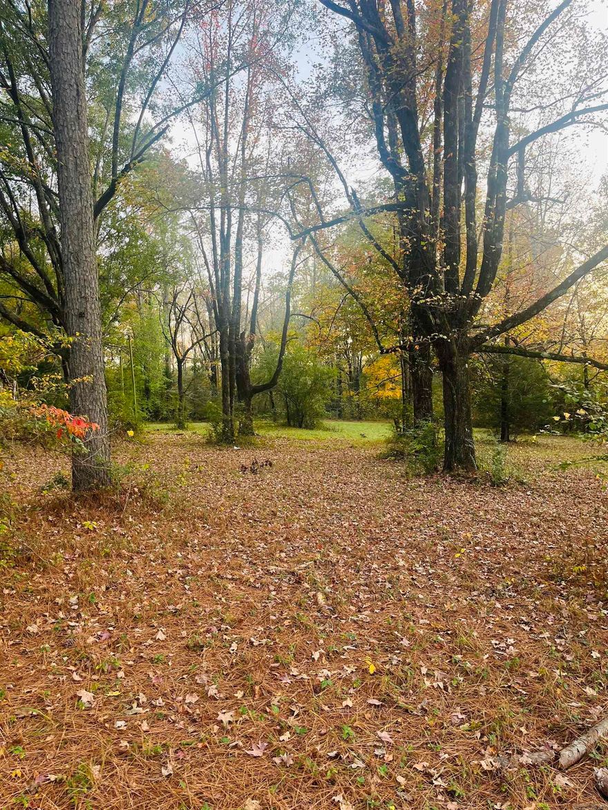 New Listing Alert!   Dreaming of country living without giving up convenience? This beautiful 7-acre property is perfect for building your dream home! Enjoy peace and privacy just minutes from all your favorite amenities — the best of both worlds.  Ready to explore the possibilities?  Let’s go take a look!