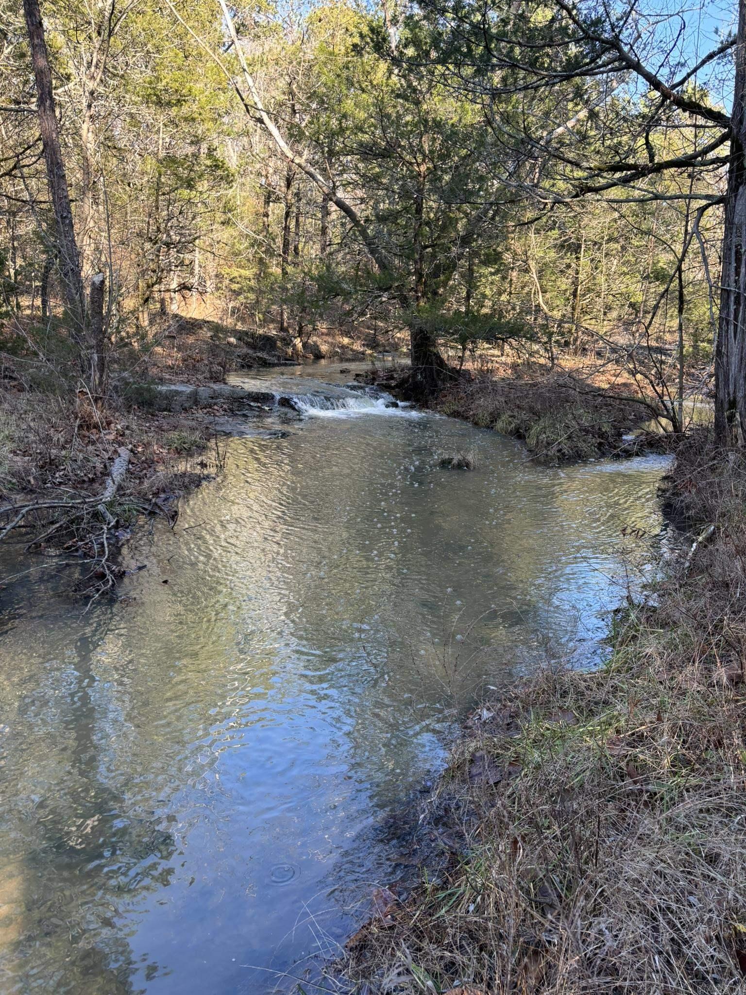 This 120 acres is perfectly suited for hunting, recreation, and timberland potential. Just 7 miles from the town of Melbourne and near the iconic Panther Knob Mountain, this property is a haven for deer, turkey, and bear hunting or creating your dream outdoor escape. A standout feature of this land is Wideman Creek, a year-round spring-fed creek that meanders through the property, providing a reliable water source for wildlife and enhancing its natural charm. The property also boasts areas of marketable timber, adding investment value to its recreational appeal. Whether you want to enjoy the abundant wildlife, explore timberland opportunities, or retreat into the serene Ozark landscape, this property offers endless possibilities. Its combination of wooded areas and open spaces makes it perfect for building a hunting cabin or a peaceful weekend getaway. Donāt miss out on this incredible opportunity! Priced at $2,900 an acre,Ā this 120 acre property can be yours.