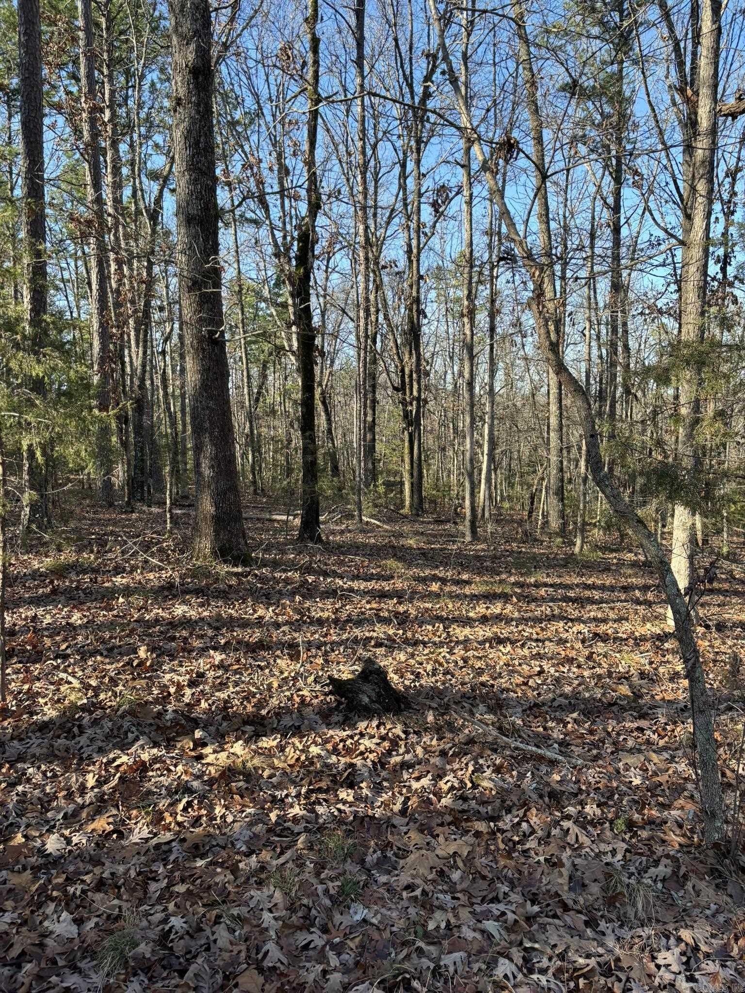 Metes & Bounds - Land