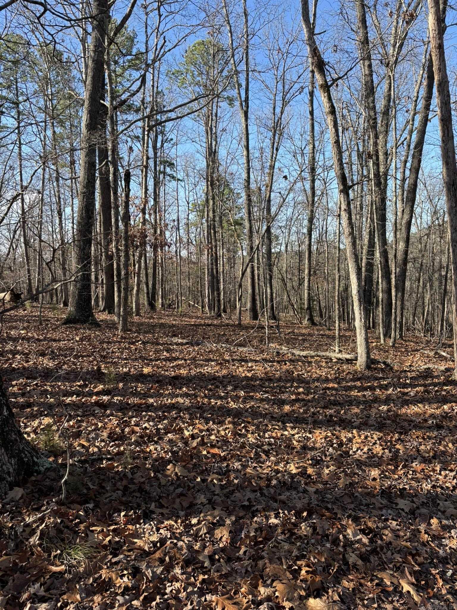 Metes & Bounds - Land