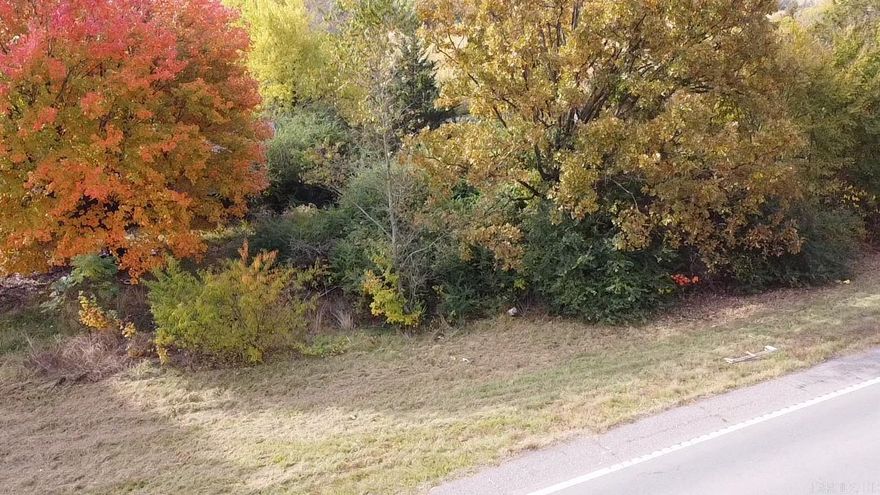 2 acre lot on US Hwy 64 between Hartman and Coal Hill.  Property includes a burned out 1300 sq.ft home (little to no value given to structure).  Septic and utilities should be present (buyer to verify condition).  Great location to build a new home or place a mobile home.  Ck w/ City of Hartman for requirements.  Driveway in place.  Most of the land is wooded w/ large shade trees & is level at hwy and decreases in elevation to the south.  Approx. 105 feet of hwy frontage and approx. 900 feet deep.  Land is centrally located about 3 miles to the AR River and 9 miles to the Ozark National Forest.