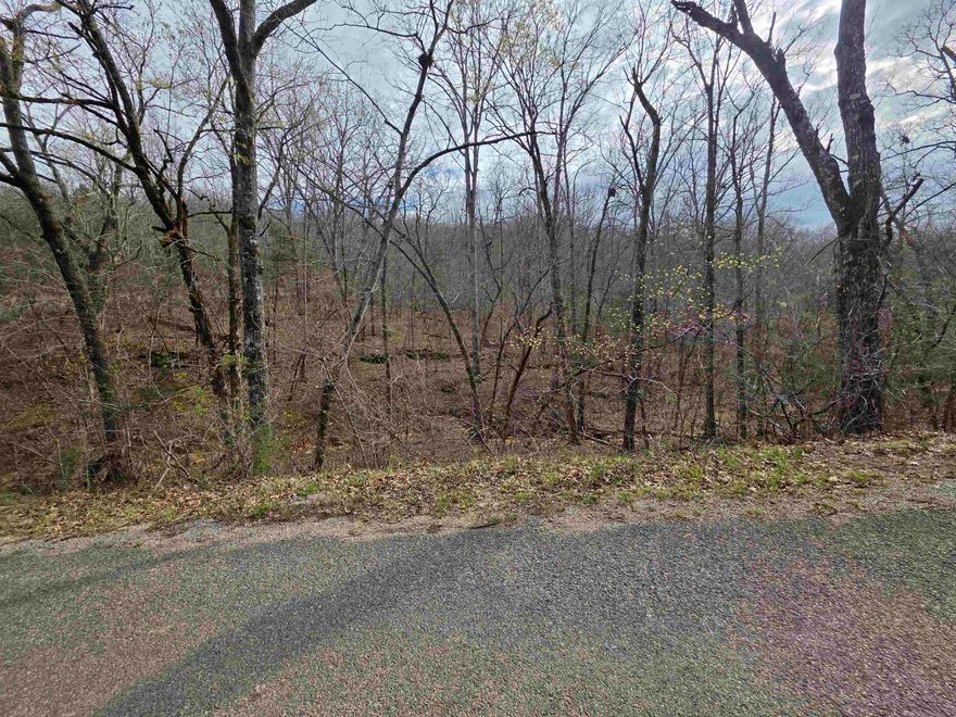 Must-see seasonal lakeview lot overlooking Lake Sherwood in Hardy, Arkansas. This is a great Hillside lot with a wet weather creek that feeds into Lake Sherwood This lot is in a prime location near the downtown area of Hardy. Enjoy private lake life on a hilltop while also taking advantage of town amenities. This lot allows you access to two private lakes and private recreation areas. You can also enjoy shopping, camping, parks, and river access in town. Come see this lot and pick out the building spot for your home or cabin on a lake-view lot.