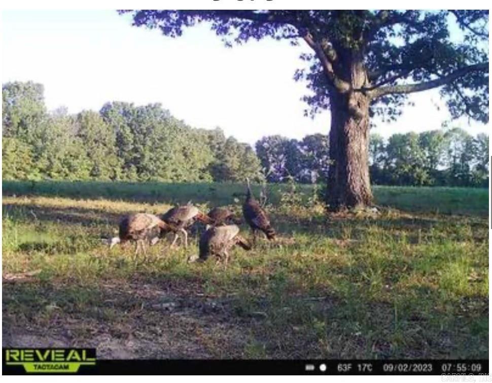 Metes & Bounds - Land