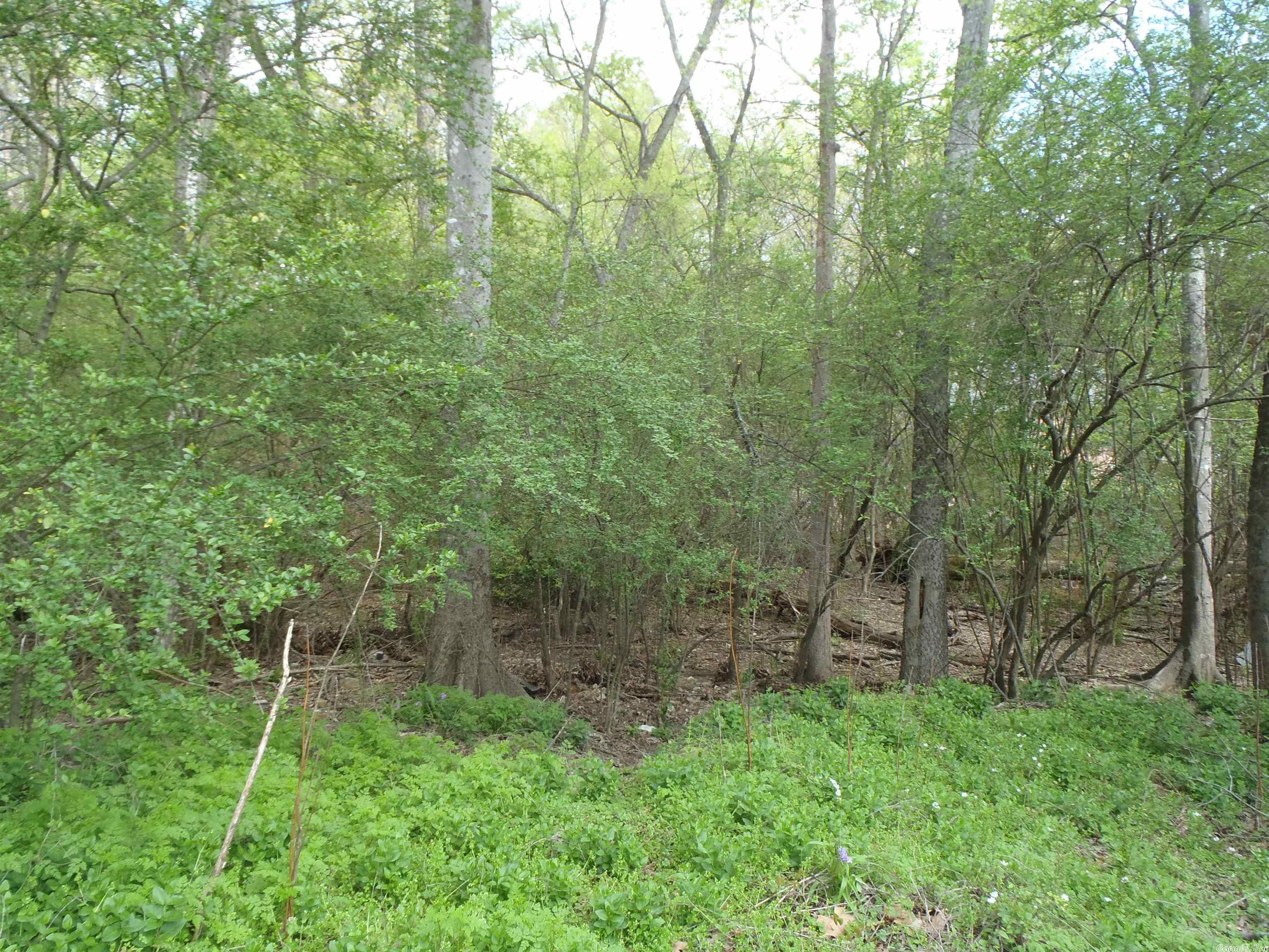 Clifton Place - Land
