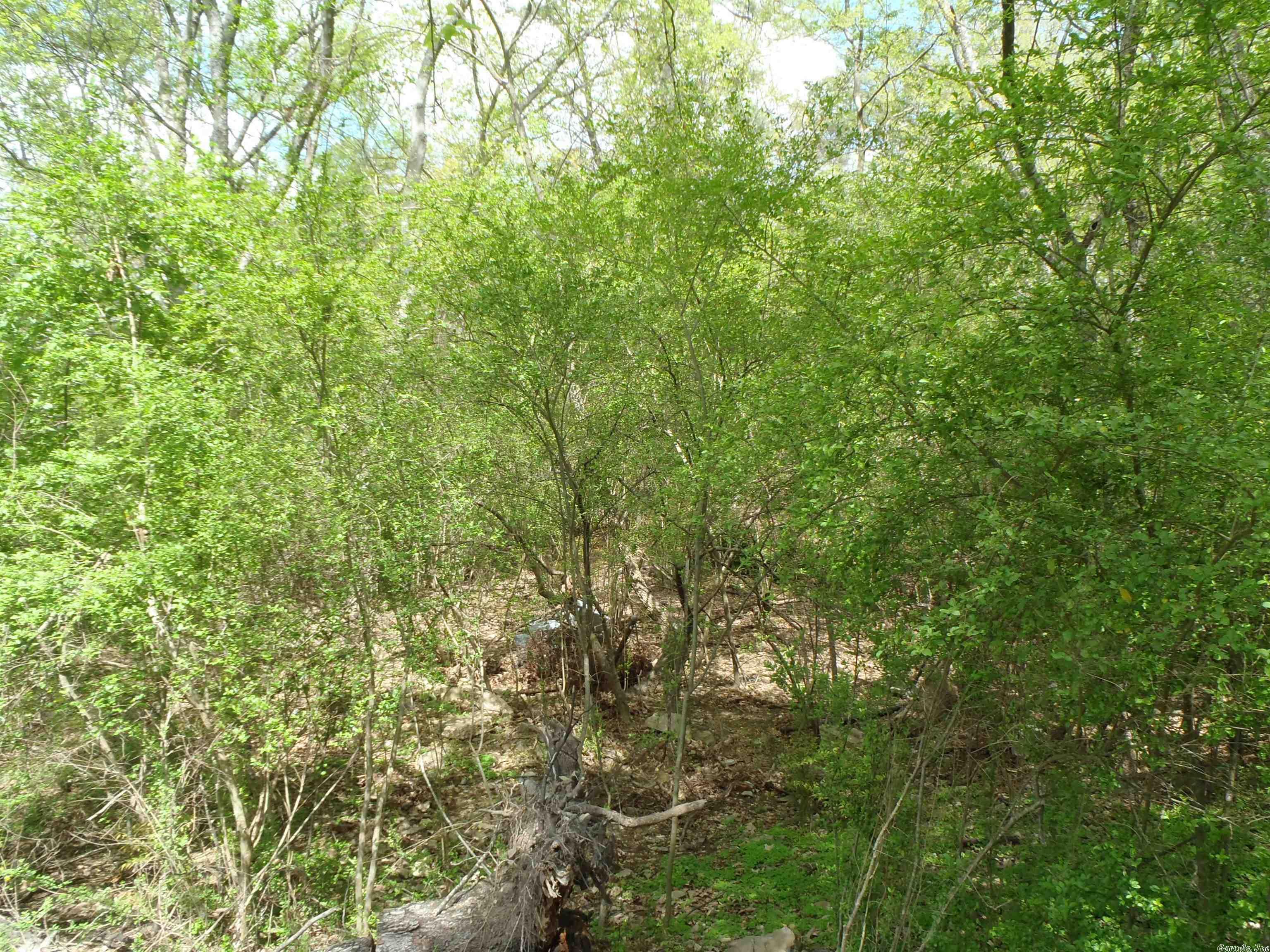 Clifton Place - Land