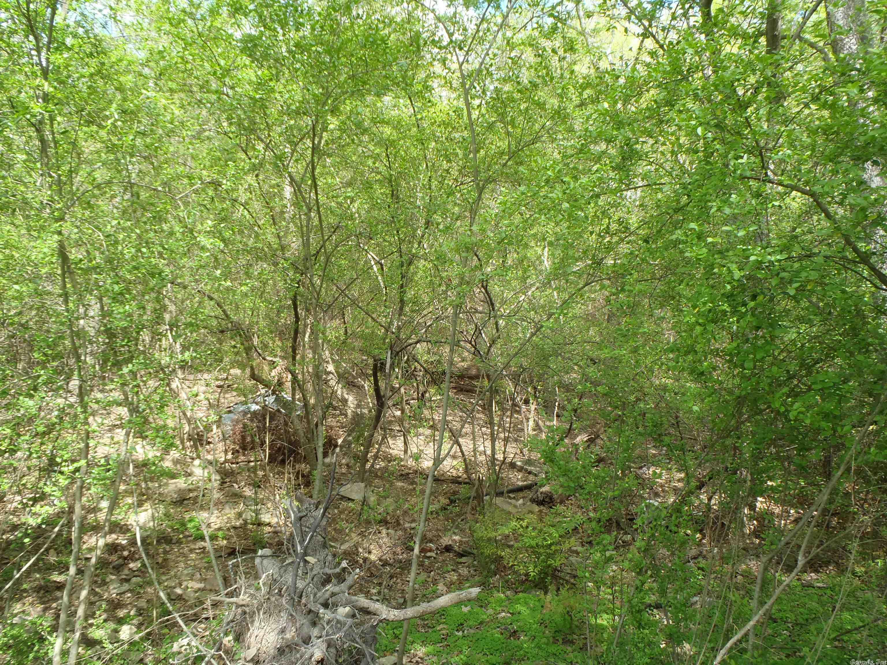 Clifton Place - Land