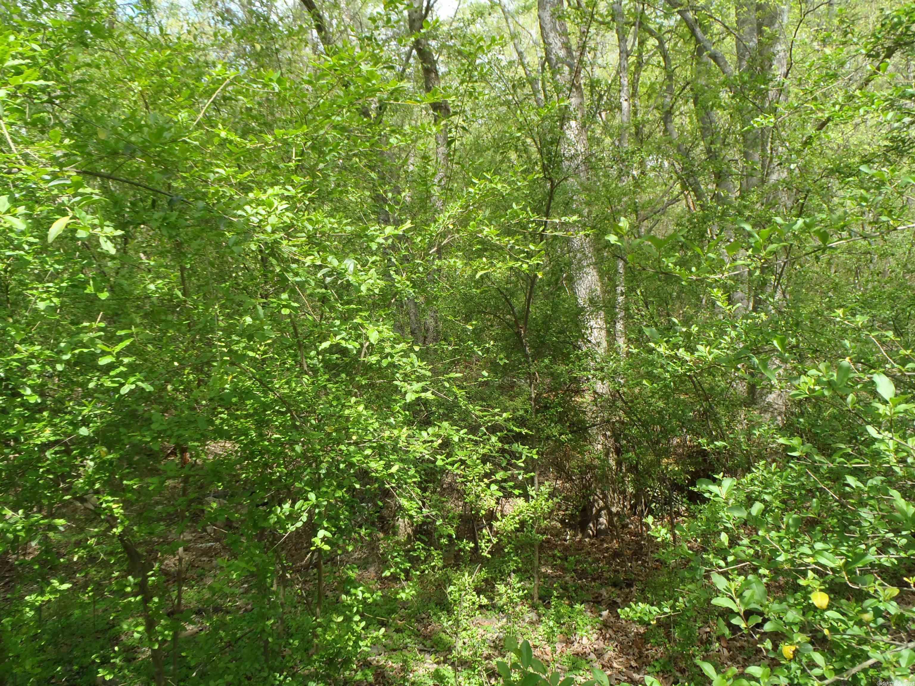 Clifton Place - Land