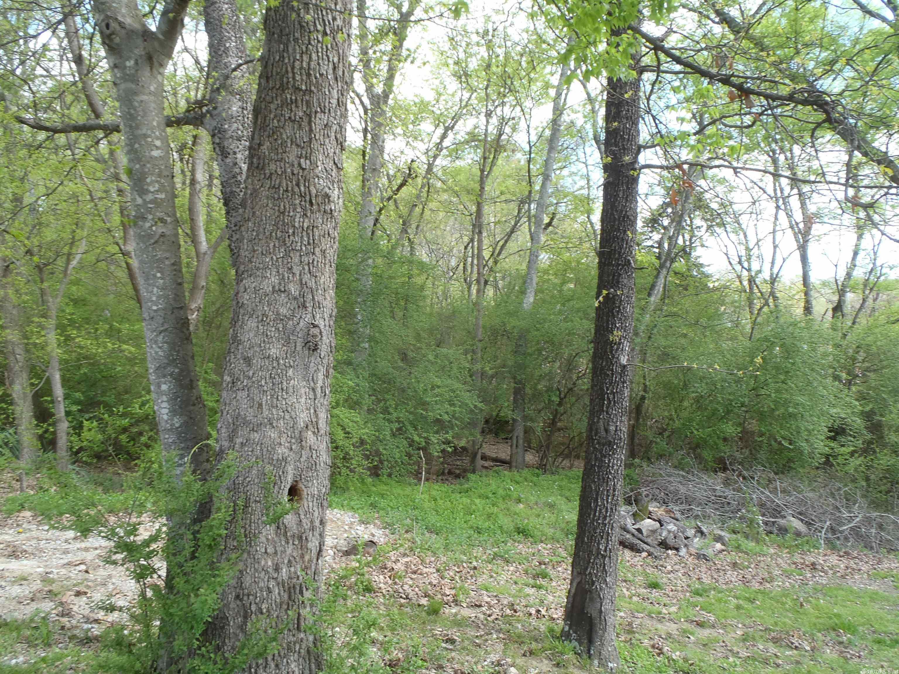 Clifton Place - Land