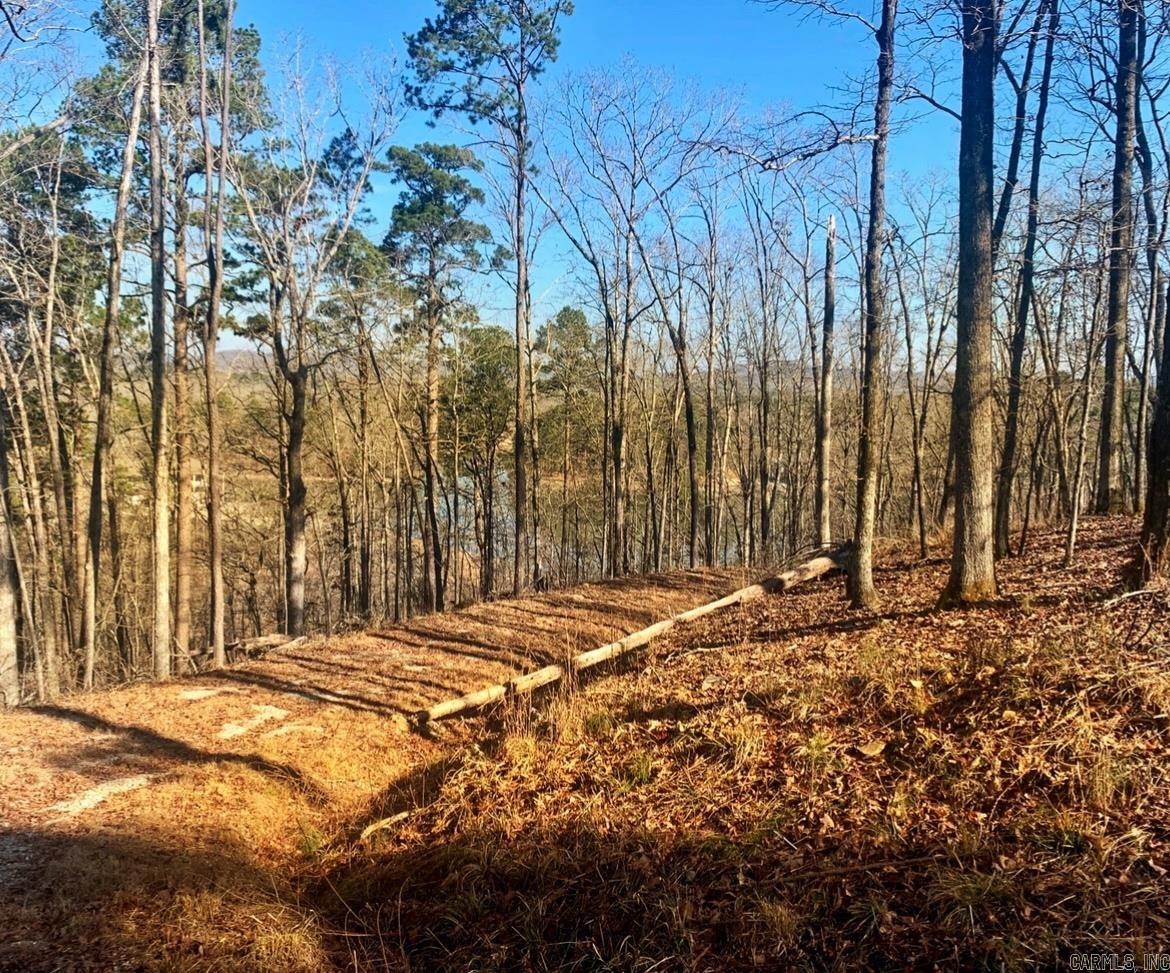 Diamondhead J - Land