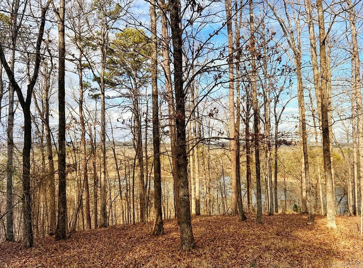 Diamondhead J - Land