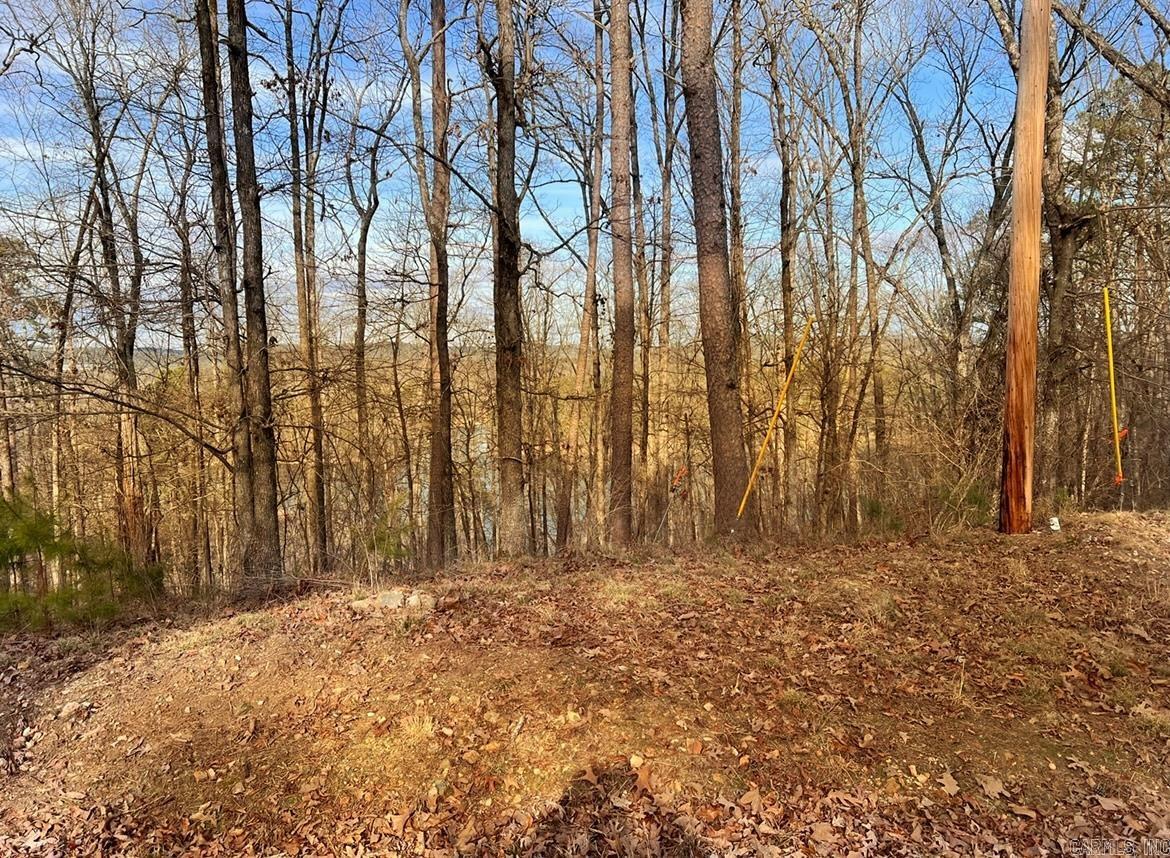 Diamondhead J - Land