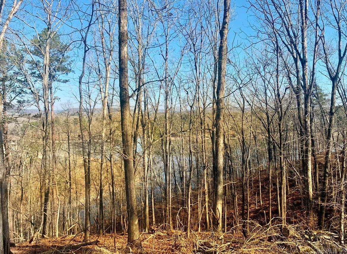 Diamondhead J - Land