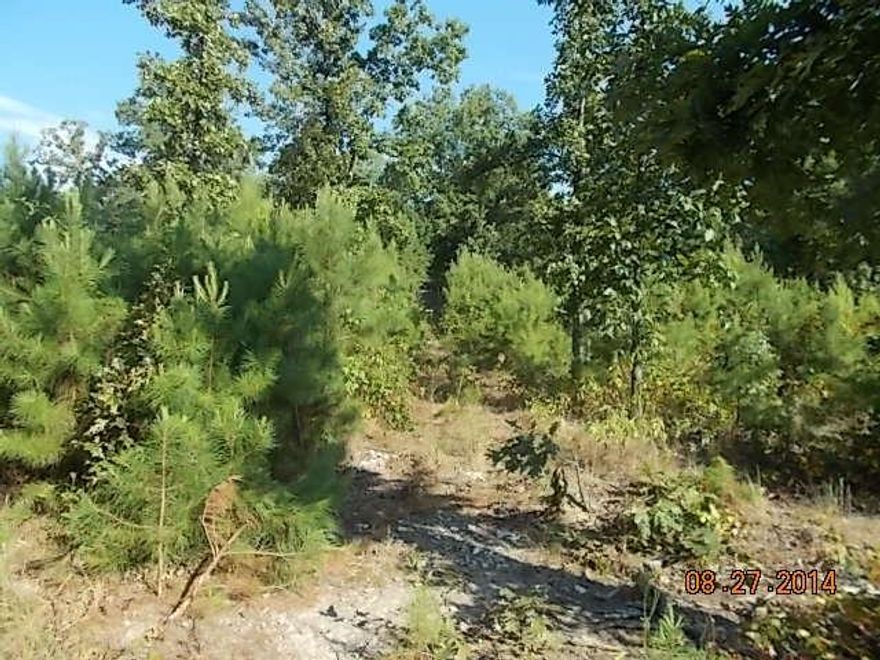 No restrictions from mobile homes, shops or critters.  Level land public water and electric at road.  Never perced but shouldn't be a problem to get a septic permit.  See Agent Remarks