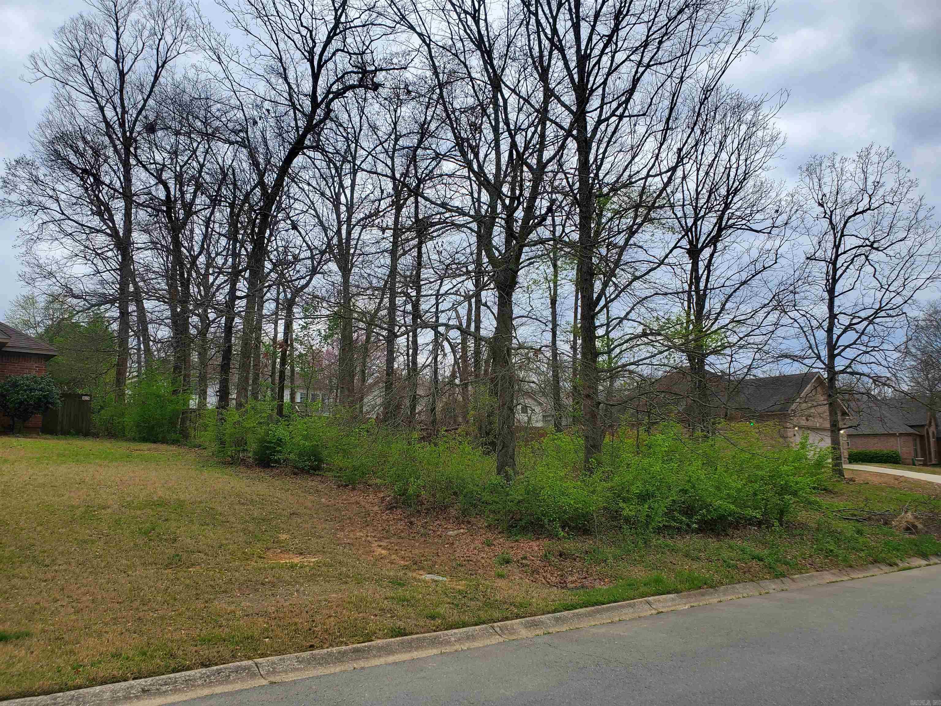 TUPELO POINT NORTHLAKE - Land