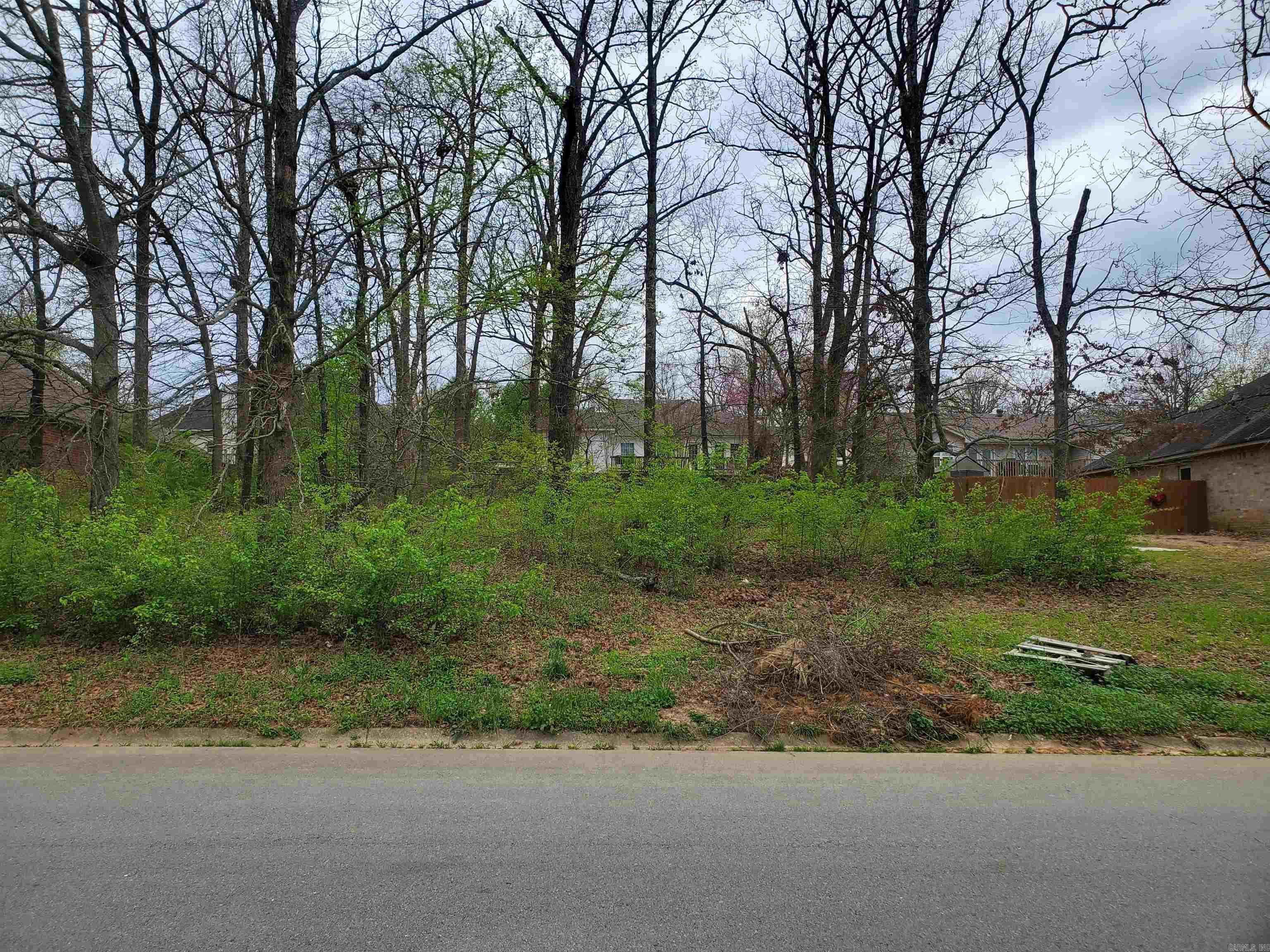 TUPELO POINT NORTHLAKE - Land