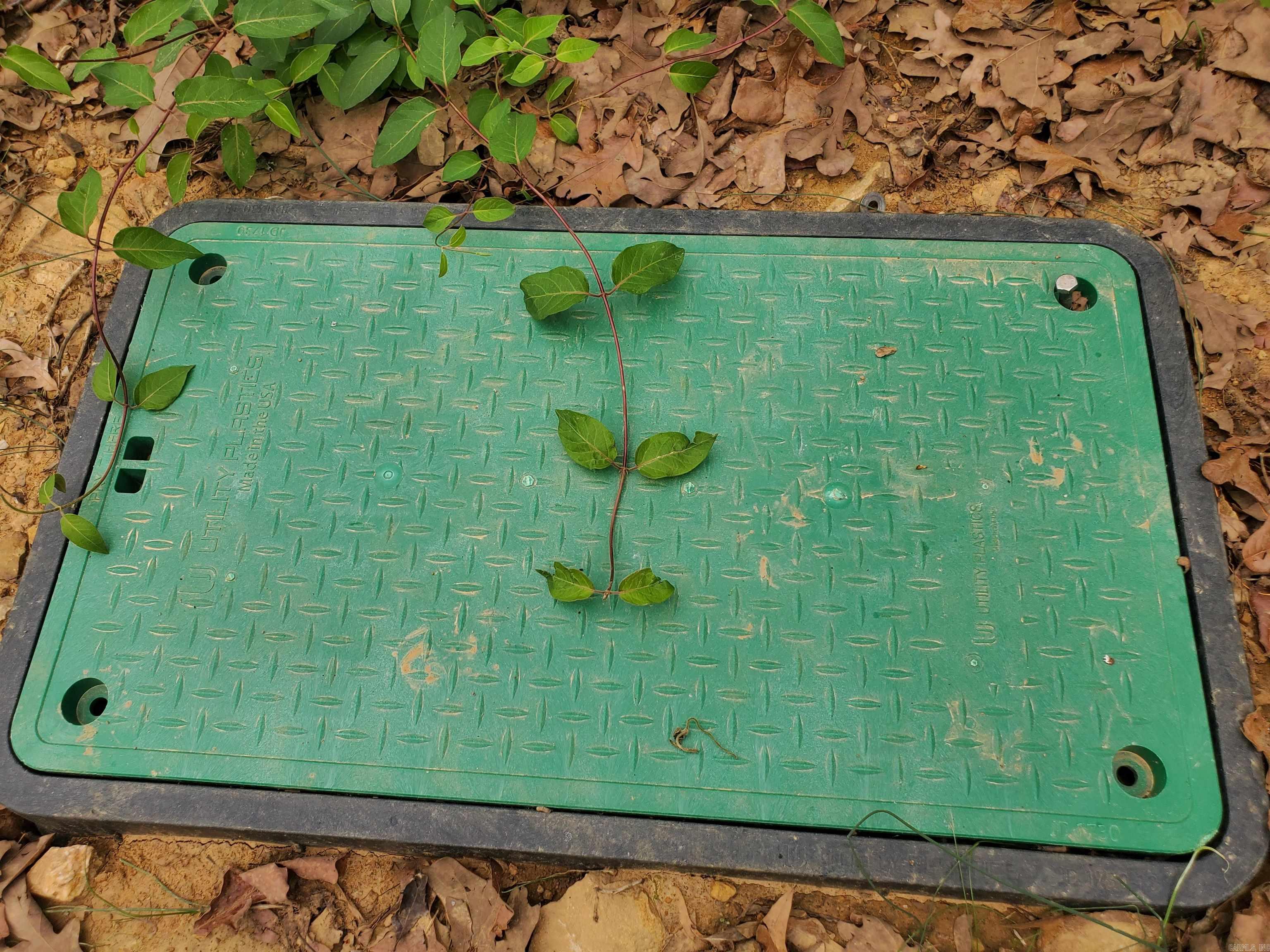 TUPELO POINT NORTHLAKE - Land