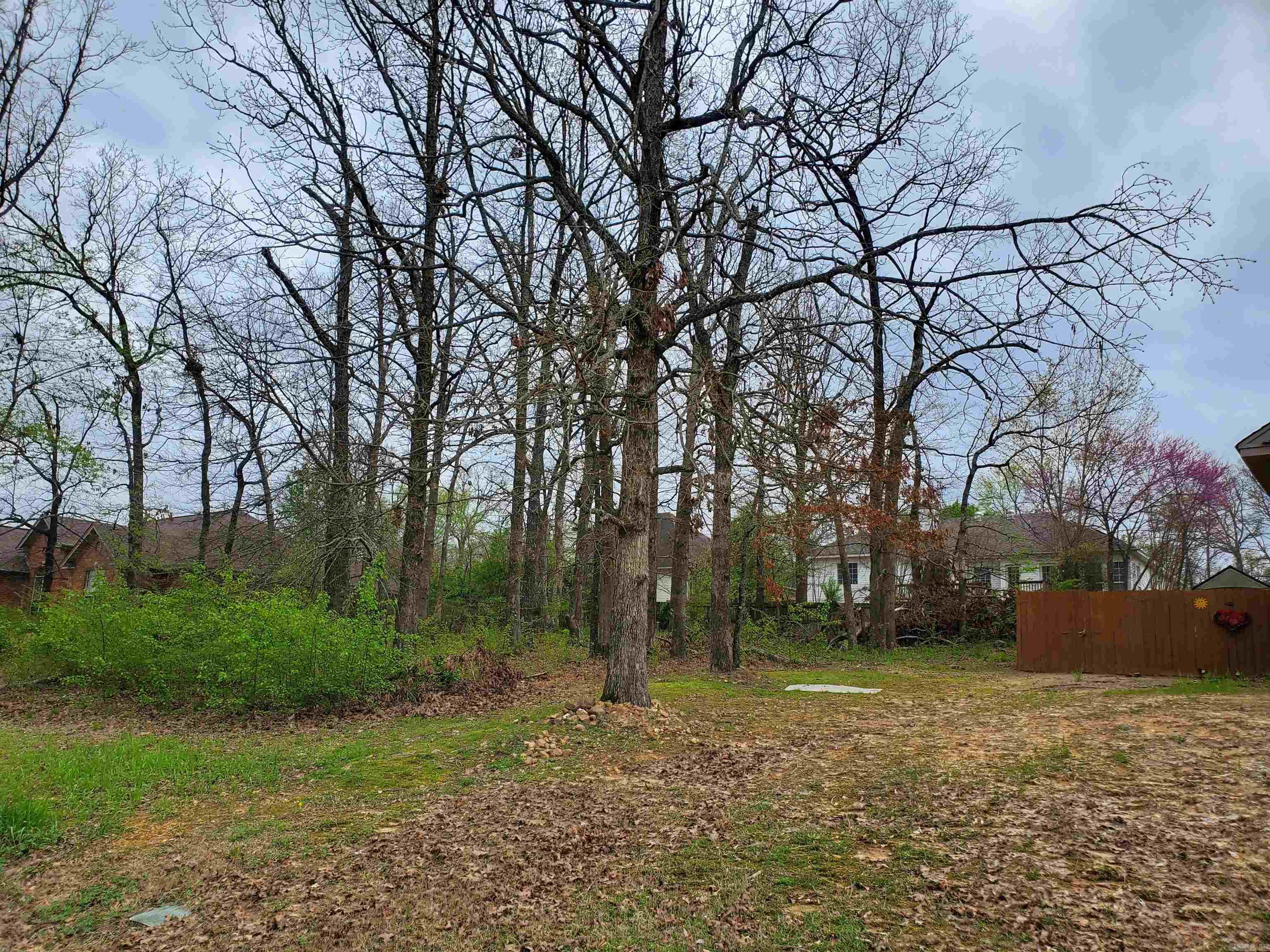 TUPELO POINT NORTHLAKE - Land