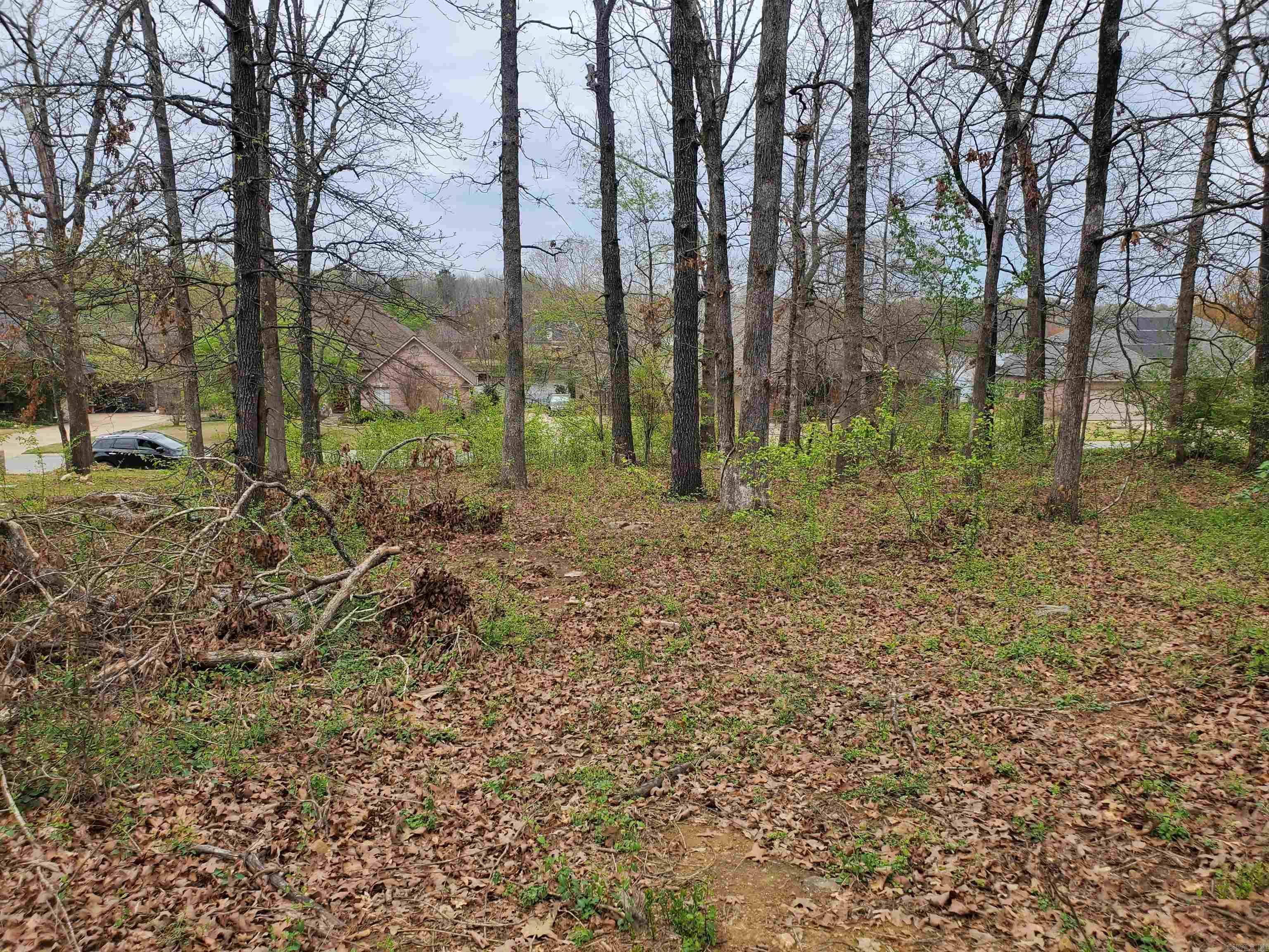 TUPELO POINT NORTHLAKE - Land