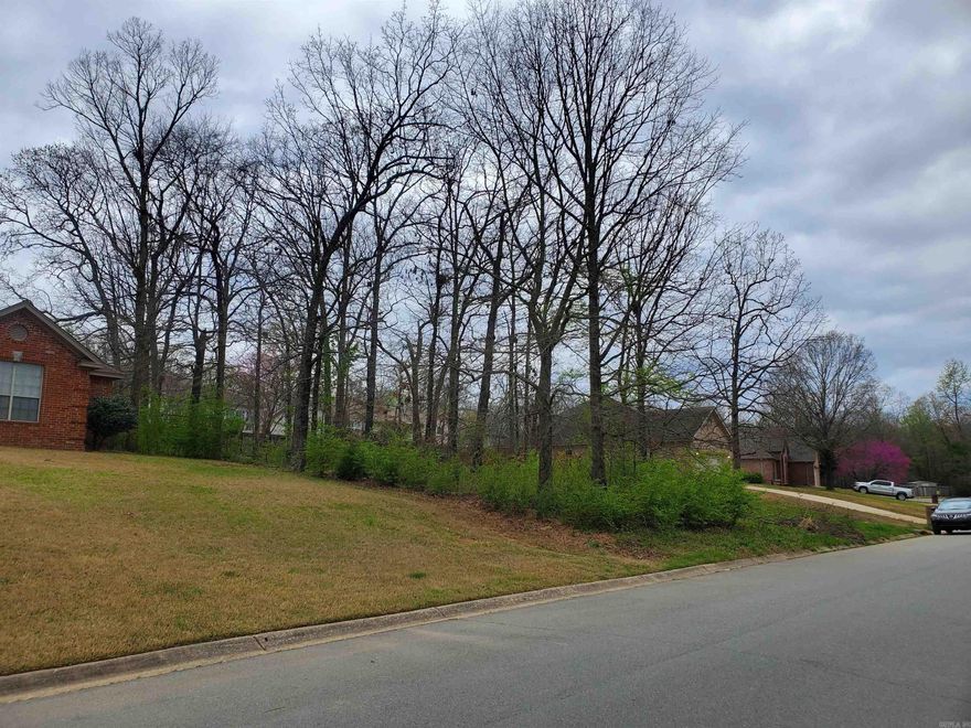 Located near the intersection of Lynx Lane and Timberwolf Trail, only 20 minutes outside of Downtown Little Rock. The neighborhood has a view of one of several small lakes surrounding the area. The neighborhood boasts pristine and primarily newly constructed homes, while resembling closely the comfort of a gated community. Water, Sewer and Electric are all at the property for easy hookup.