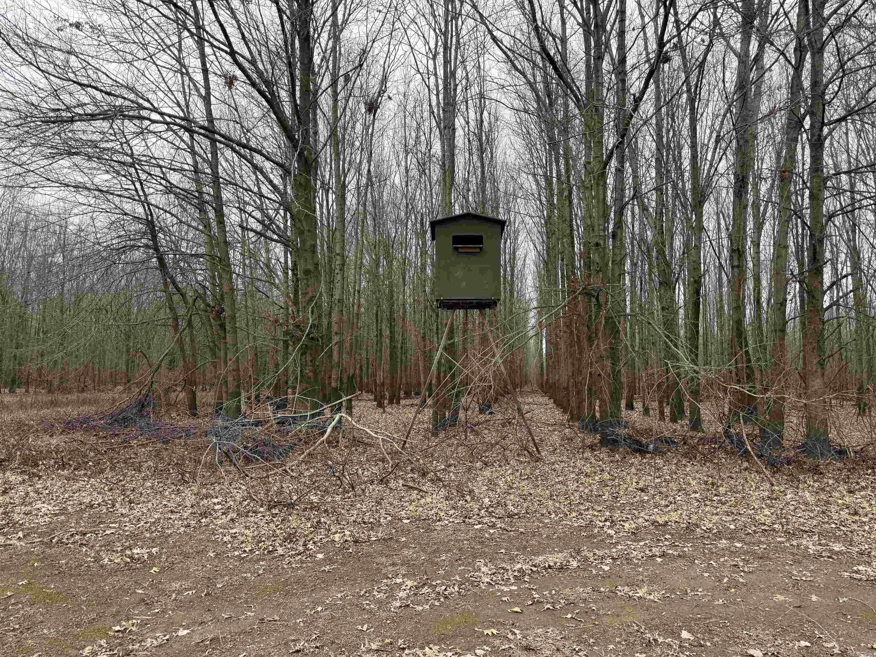 Metes & Bounds - Land