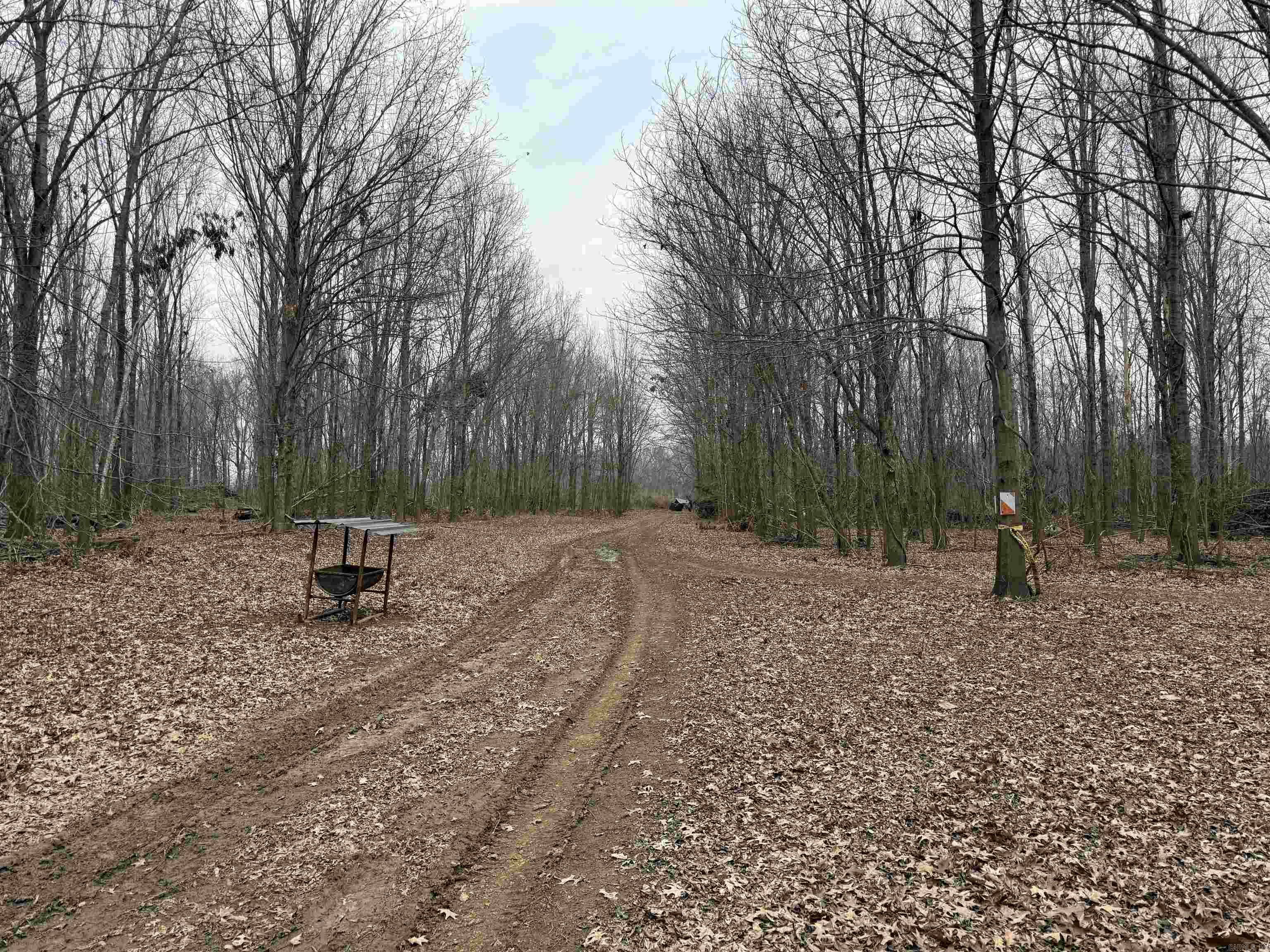 Metes & Bounds - Land