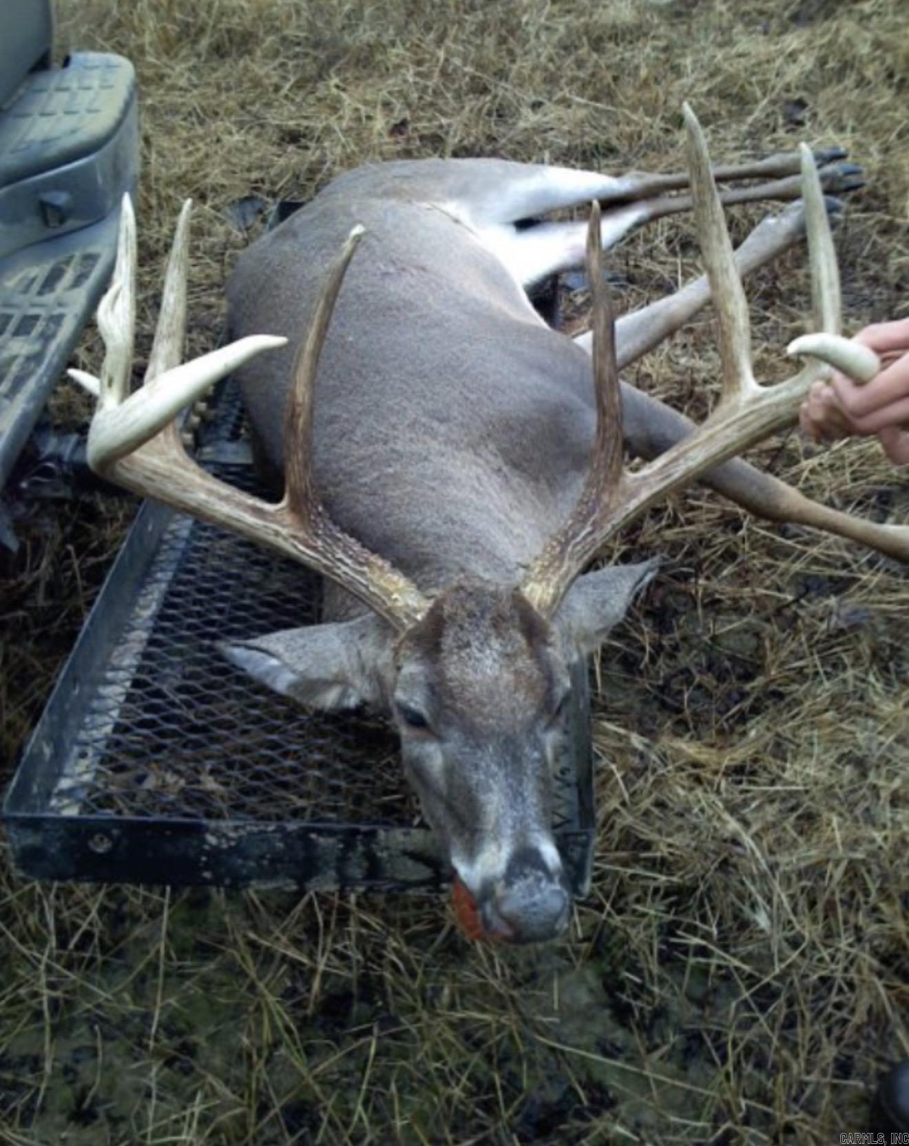 Metes & Bounds - Land