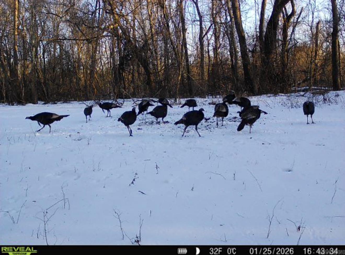 Metes & Bounds - Land