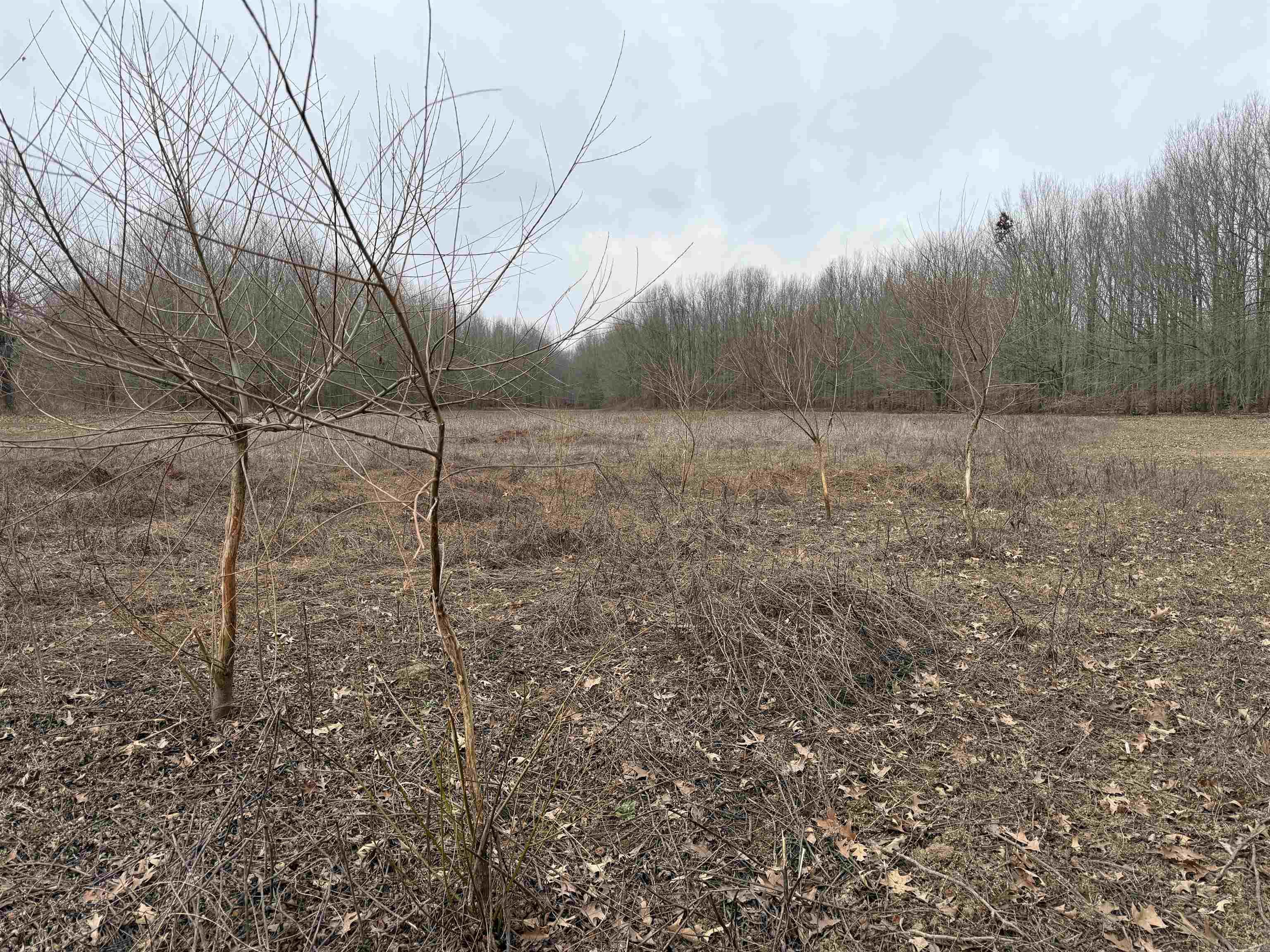 Metes & Bounds - Land