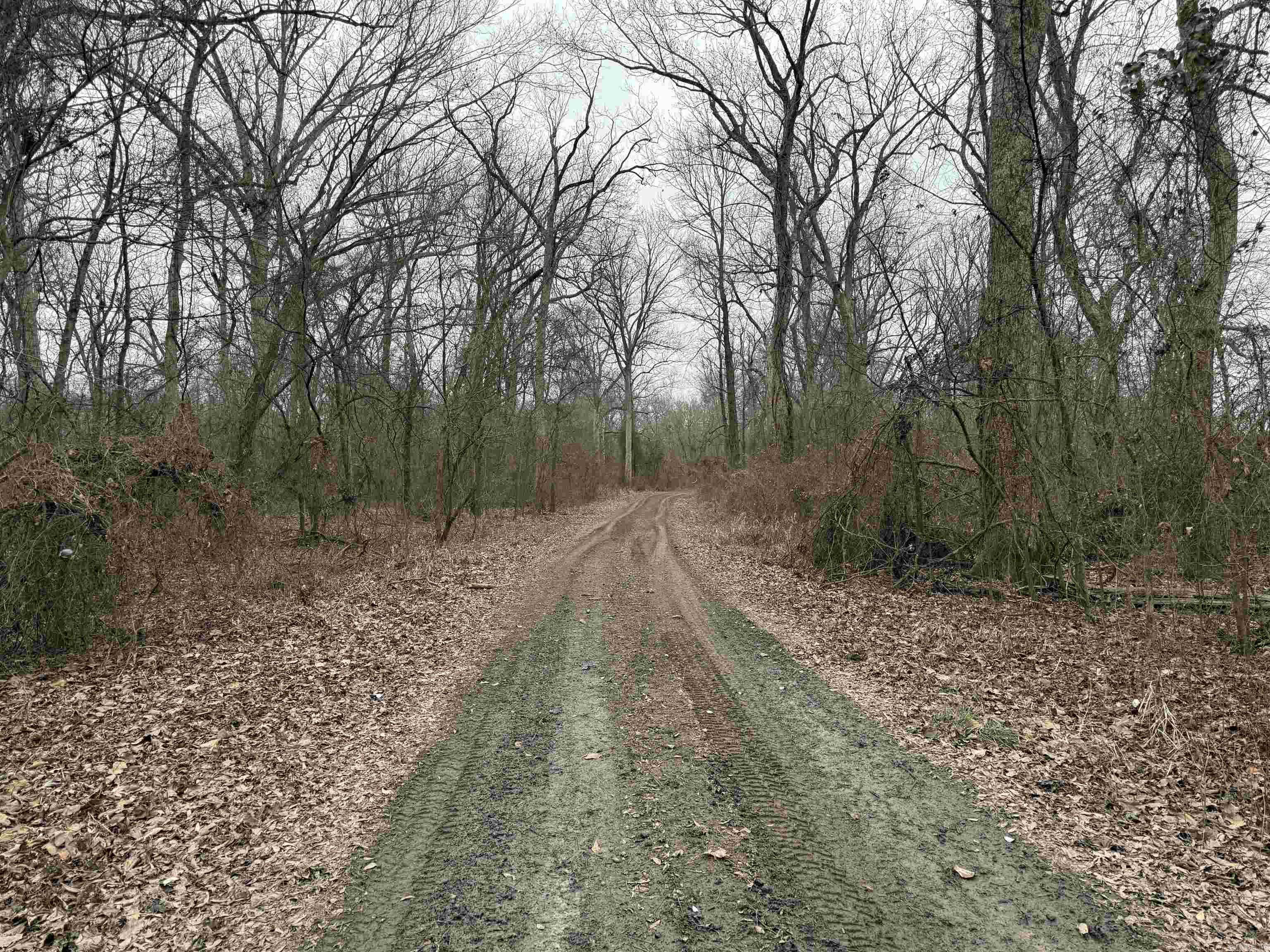 Metes & Bounds - Land