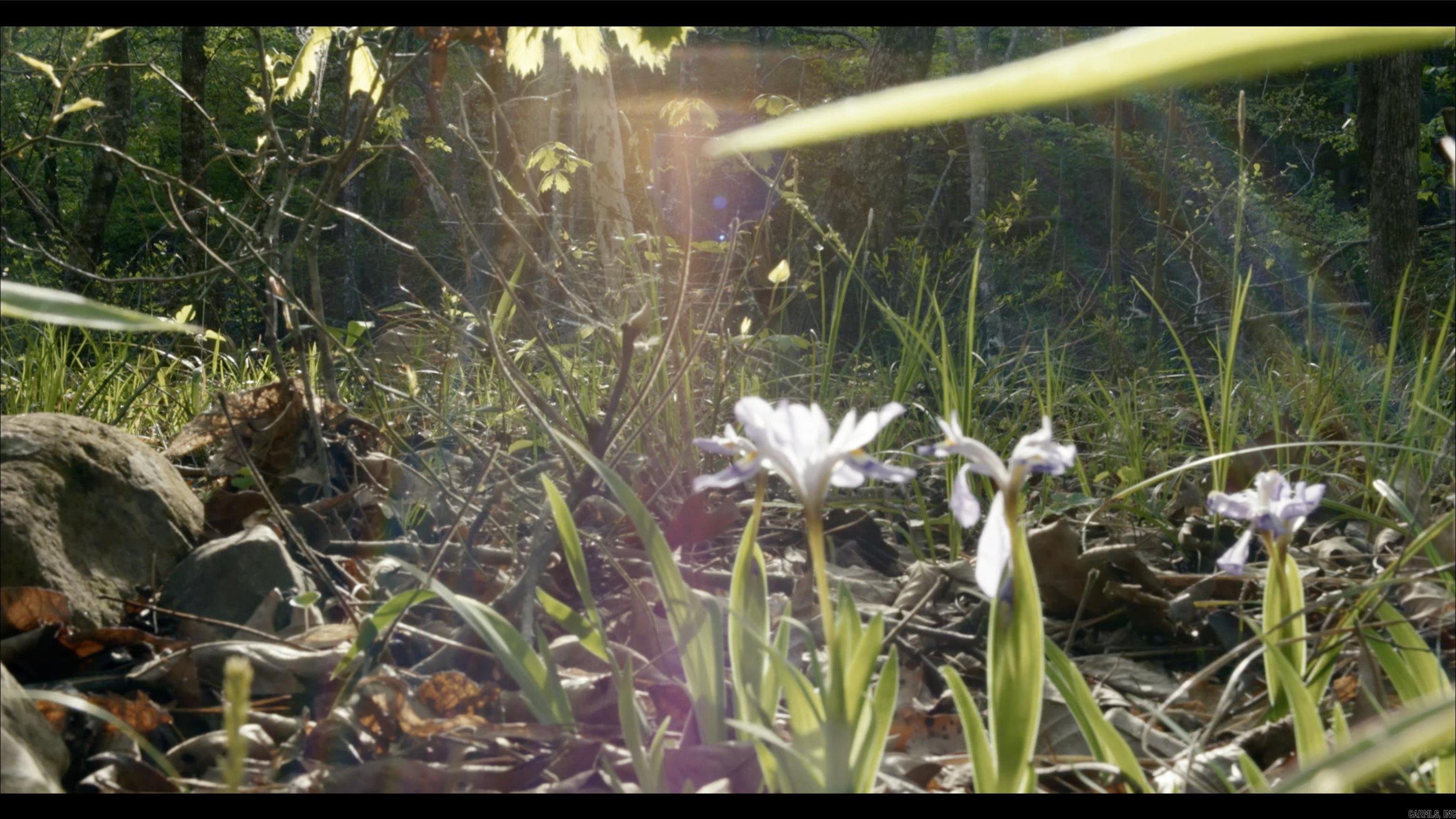 TOWN OF EGGER (CHERRY HILL) - Residential