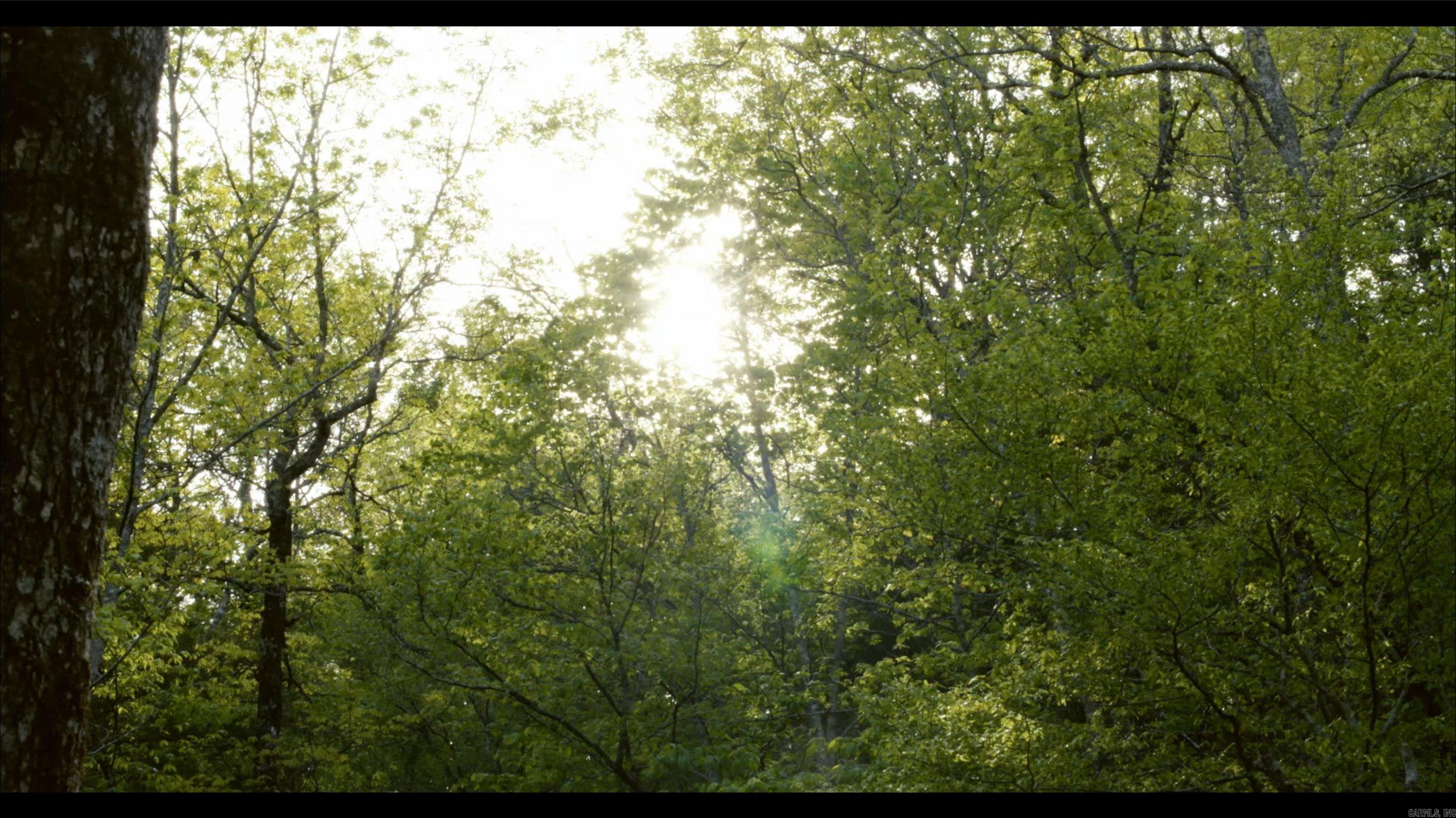 TOWN OF EGGER (CHERRY HILL) - Residential