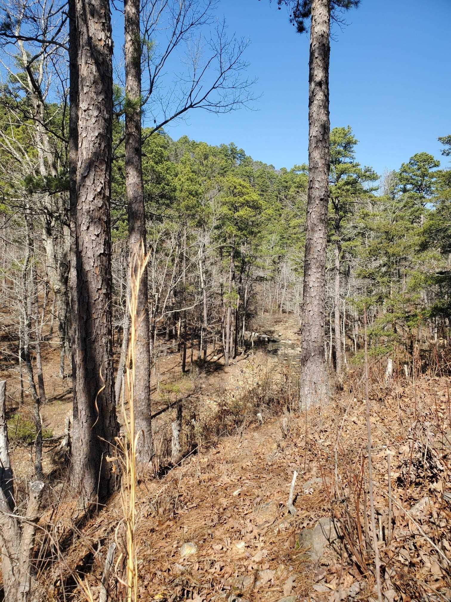 TOWN OF EGGER (CHERRY HILL) - Residential